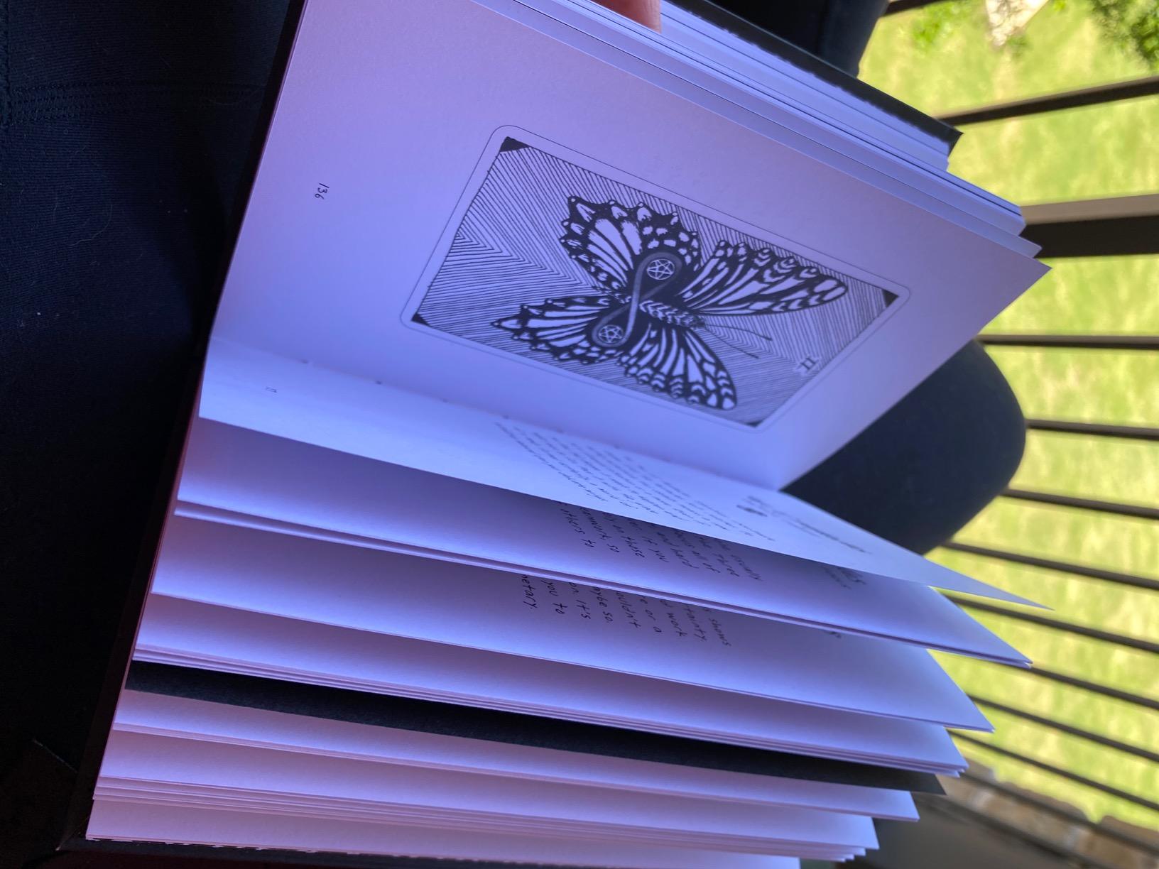 The Wild Unknown Tarot Deck and Guidebook (Official Keepsake Box Set) customer photo 1