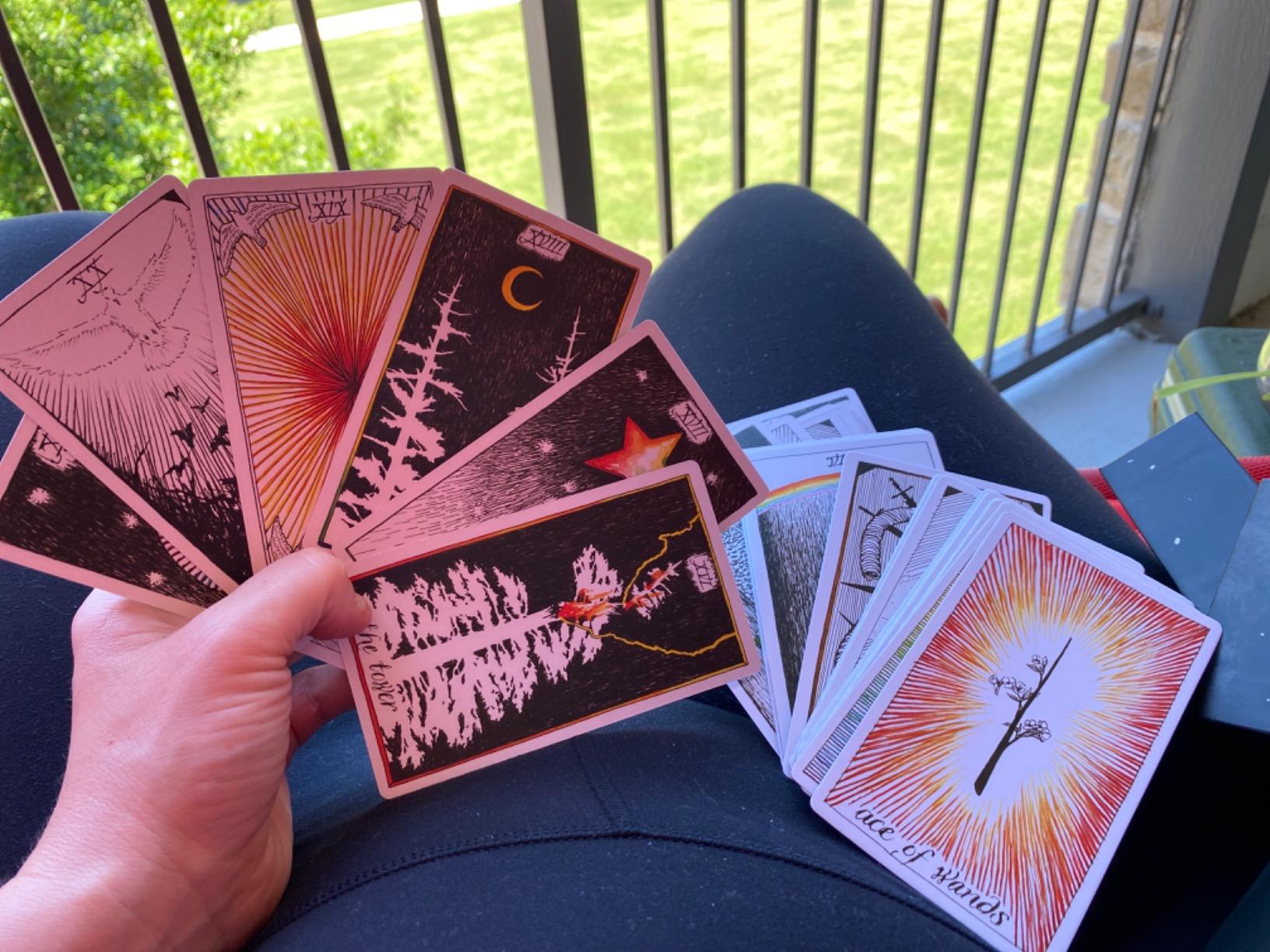 The Wild Unknown Tarot Deck and Guidebook (Official Keepsake Box Set) customer photo 2