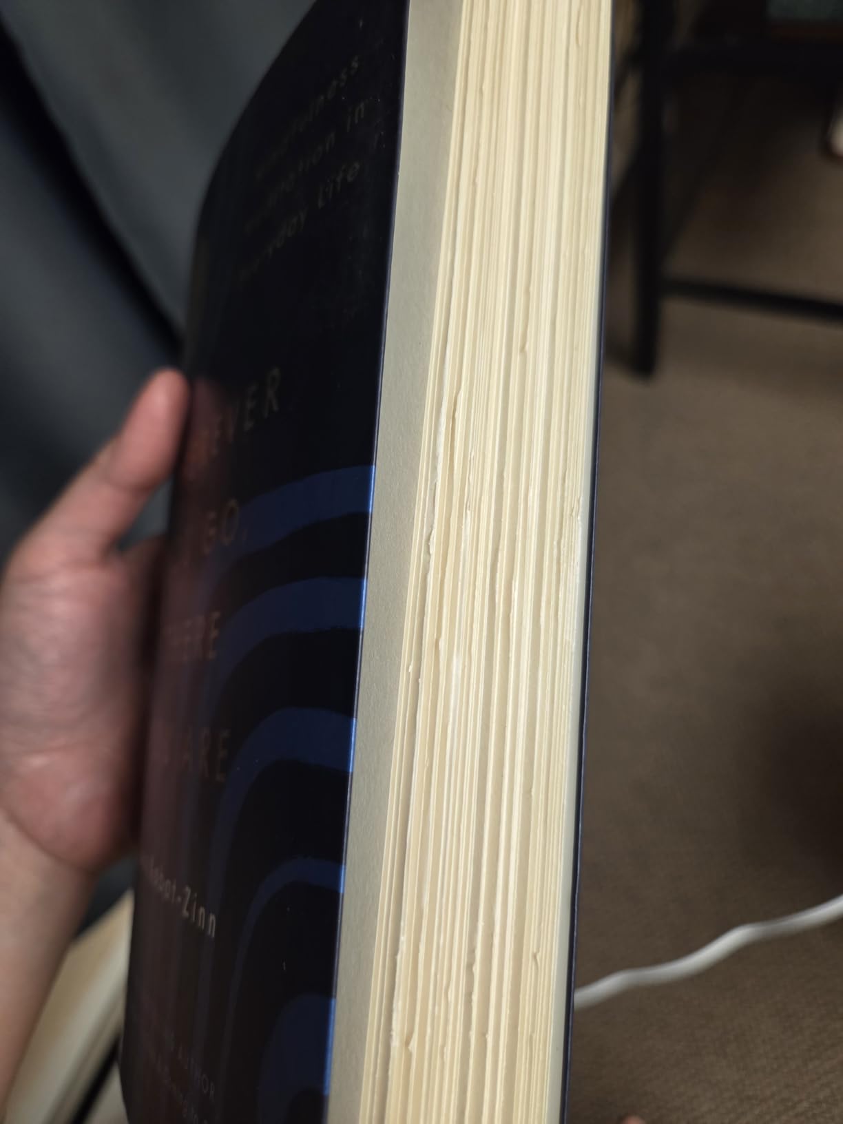 Wherever You Go, There You Are: Mindfulness Meditation in Everyday Life customer photo 2