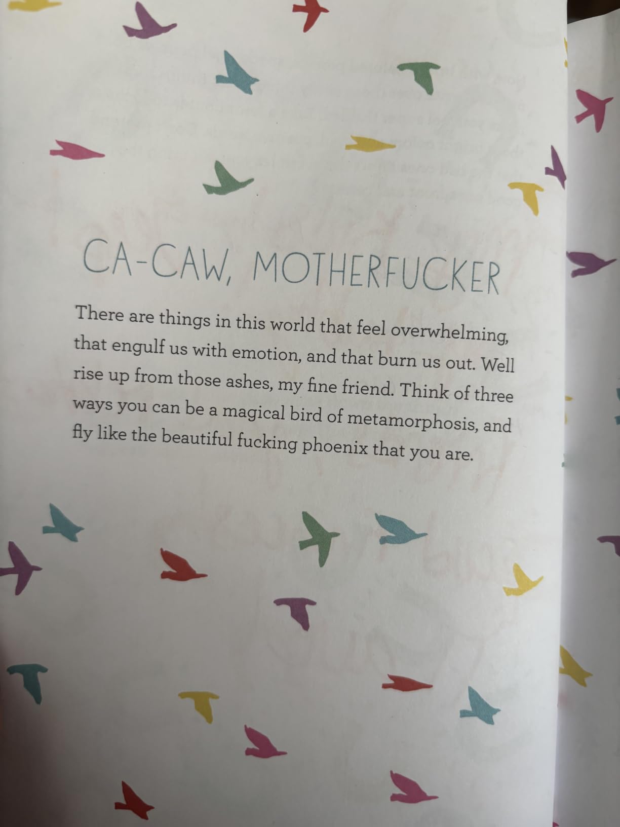 Let That Sh*t Go: A Journal for Leaving Your Bullsh*t Behind and Creating a Happy Life customer photo 1