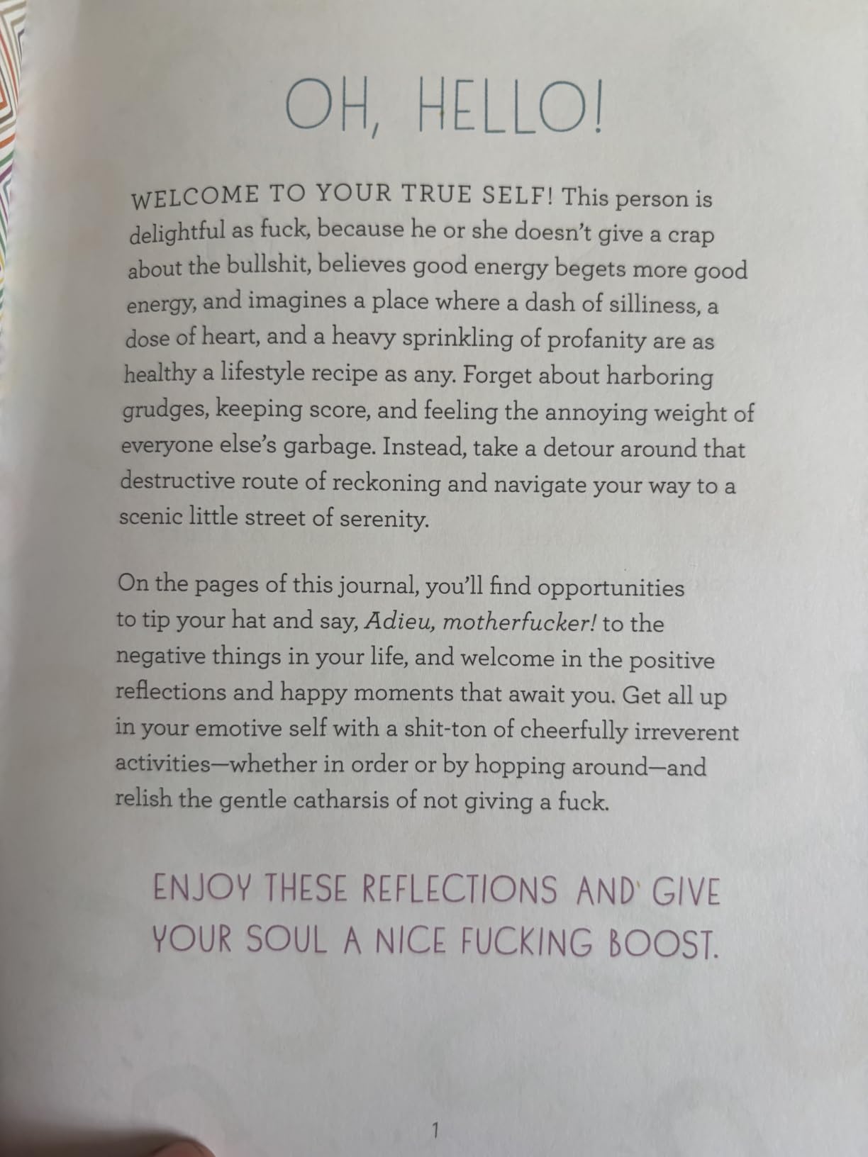 Let That Sh*t Go: A Journal for Leaving Your Bullsh*t Behind and Creating a Happy Life customer photo 2