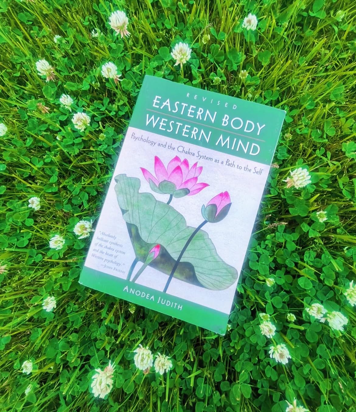 Eastern Body, Western Mind: Psychology and the Chakra System As a Path to the Self customer photo 1