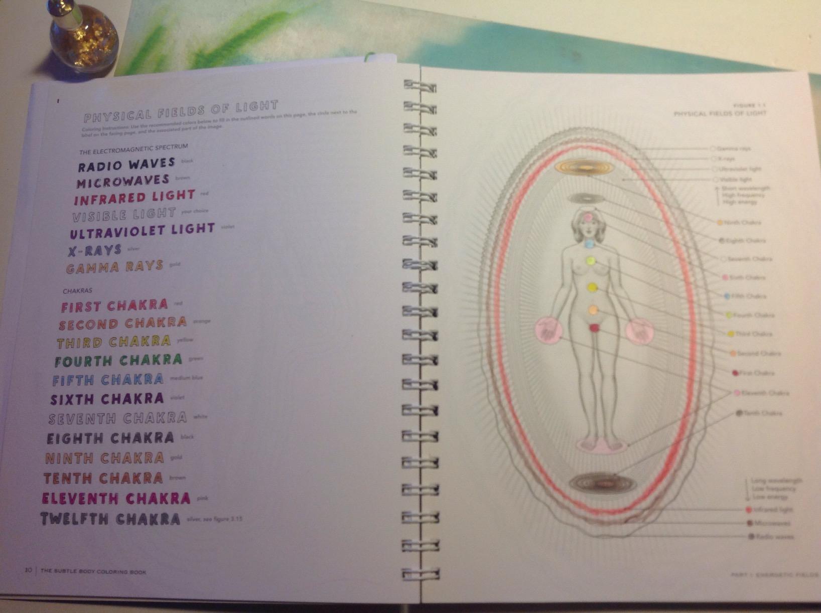 The Subtle Body Coloring Book: Learn Energetic Anatomy--from the Chakras to the Meridians and More customer photo 1