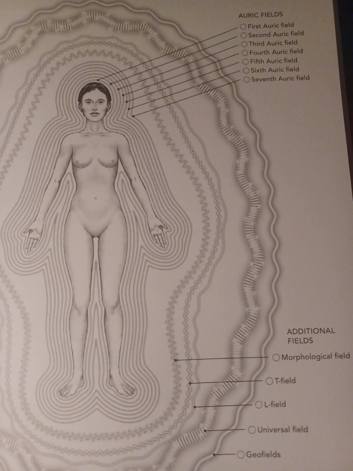 The Subtle Body Coloring Book: Learn Energetic Anatomy--from the Chakras to the Meridians and More customer photo 2
