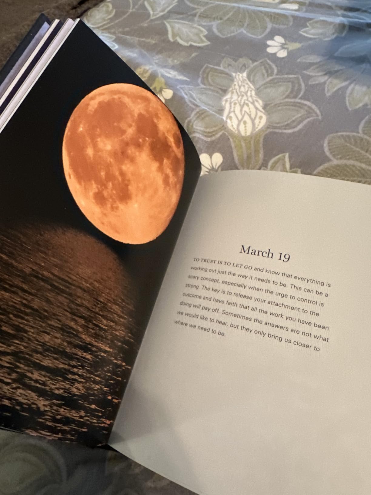 Moonlight Gratitude: 365 Nighttime Meditations for Deep, Tranquil Sleep All Year Long (Volume 1) (Daily Gratitude, 1) customer photo 1