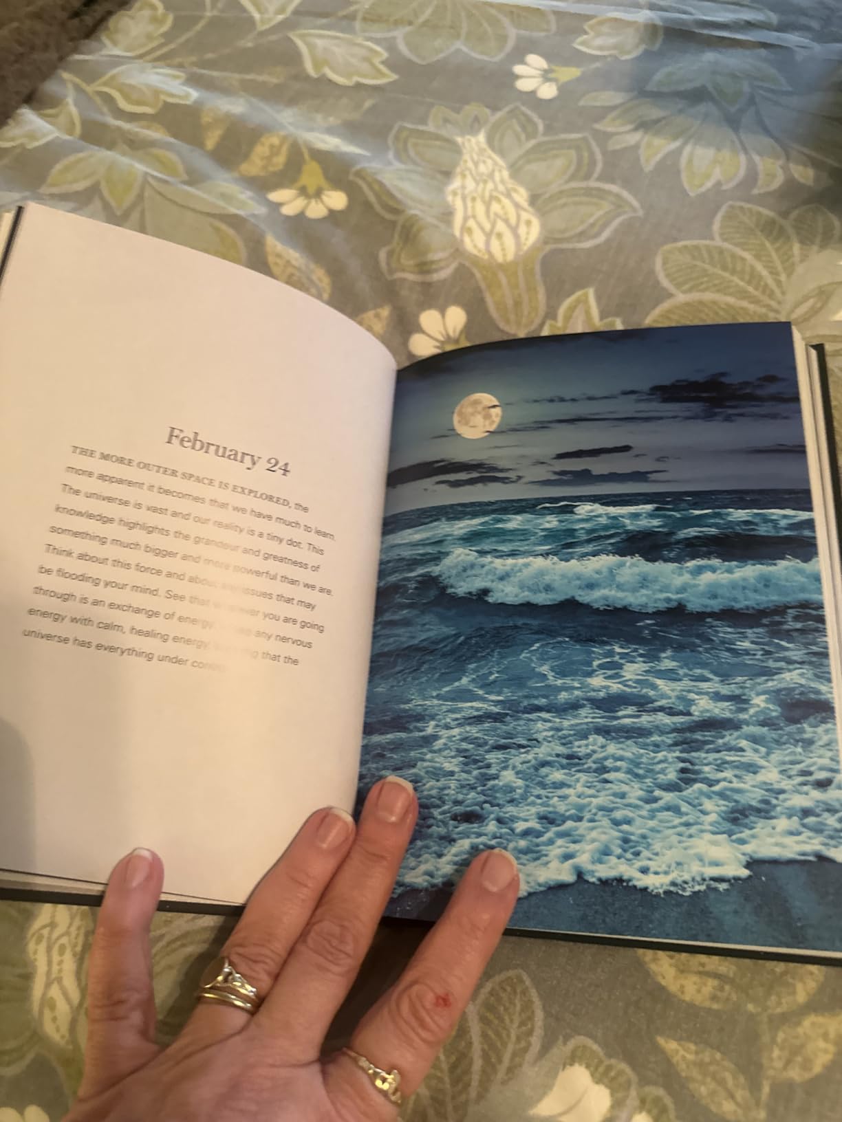 Moonlight Gratitude: 365 Nighttime Meditations for Deep, Tranquil Sleep All Year Long (Volume 1) (Daily Gratitude, 1) customer photo 2