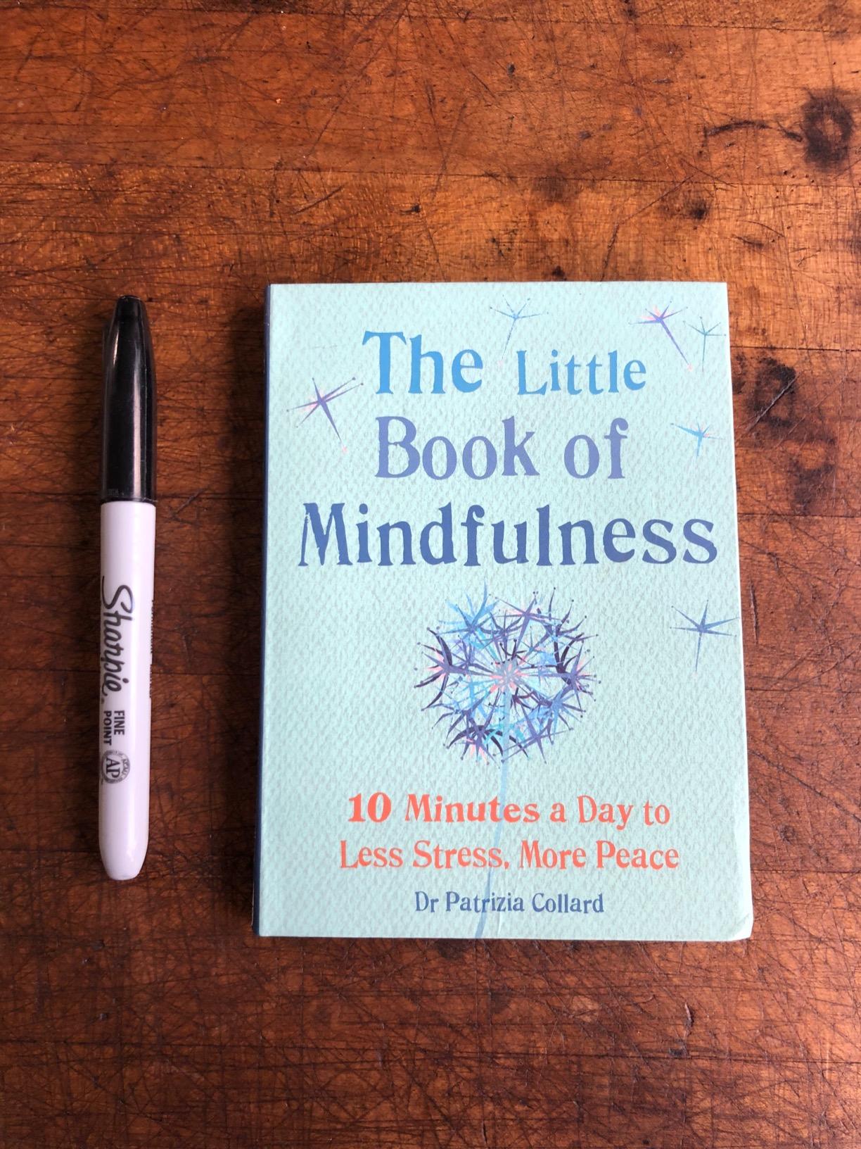 Little Book of Mindfulness: 10 minutes a day to less stress, more peace customer photo 1