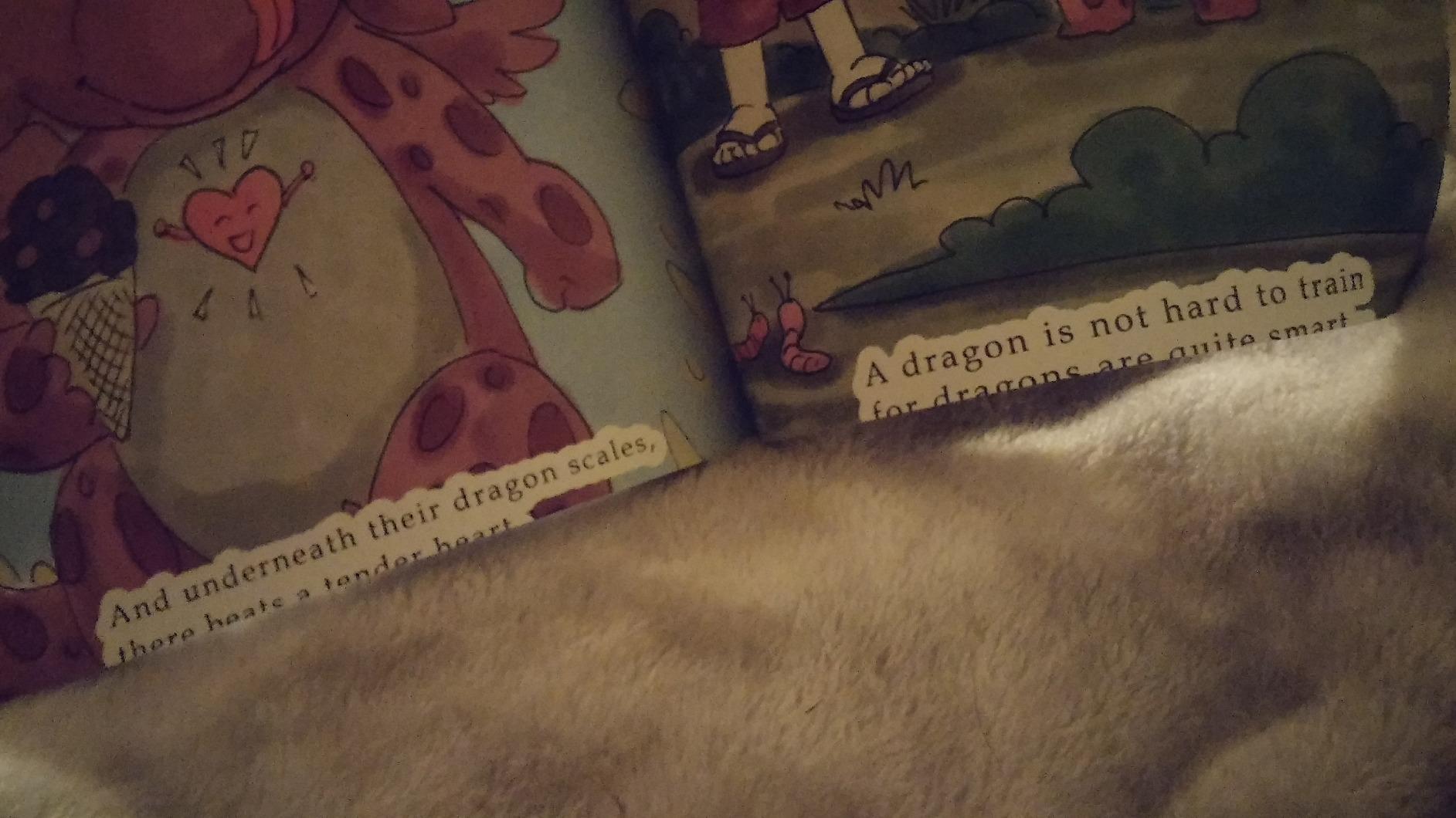 The Mindful Dragon: A Dragon Book about Mindfulness. Teach Your Dragon To Be Mindful. A Cute Children Story to Teach Kids about Mindfulness, Focus and Peace. (My Dragon Books) customer photo 2