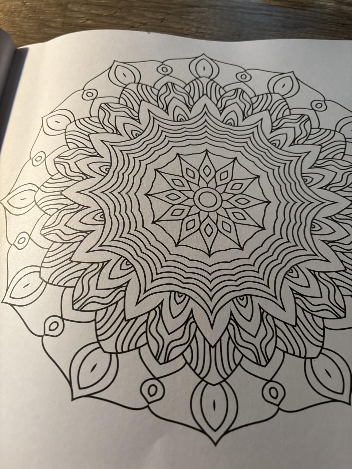 Mandala: Colouring Books for Adults with Tear Out Sheets (Adult Colouring Book) customer photo 1