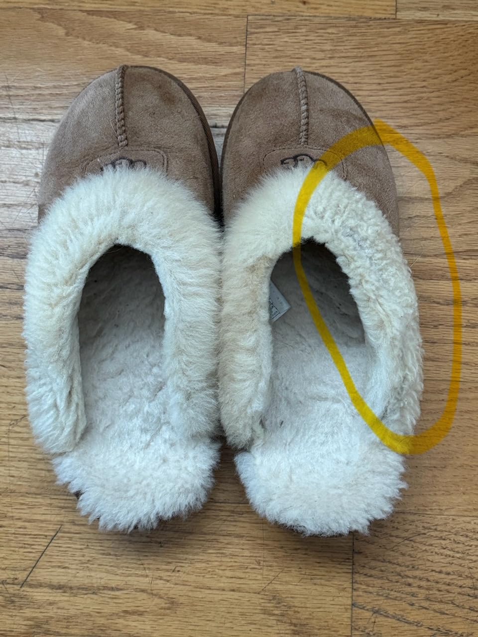 UGG Women's Coquette Slipper customer photo 1
