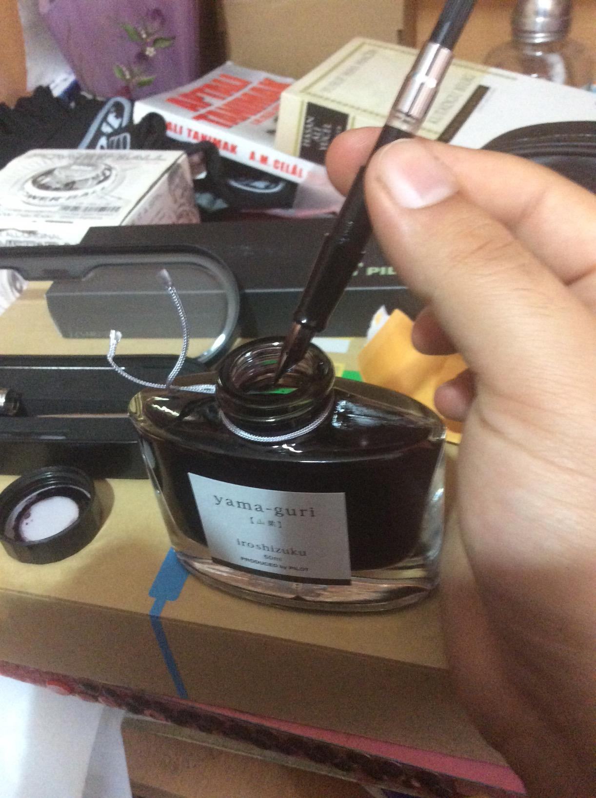 Pilot Iroshizuku Bottled Fountain Pen Ink, Yama-Guri, Wild Chestnut (Dark Brown) 50ml Bottle customer photo 2