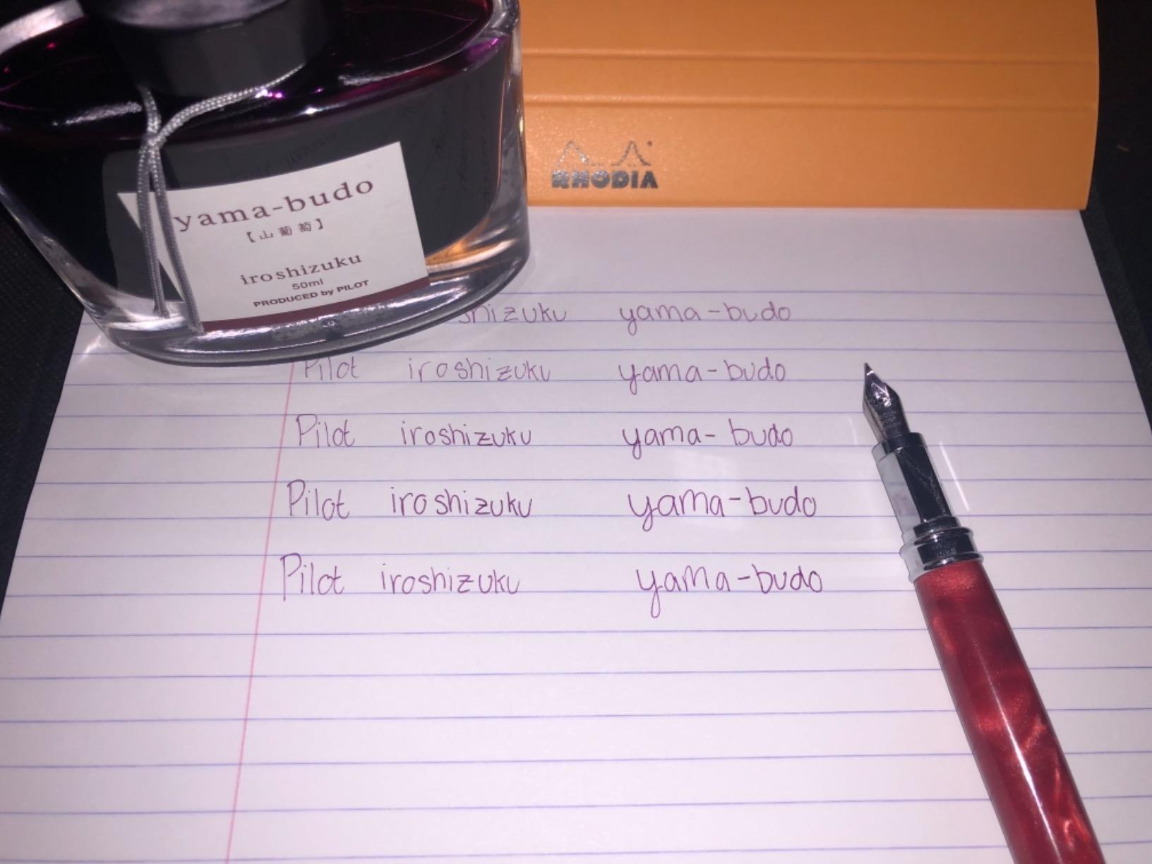 PILOT Iroshizuku Bottled Fountain Pen Ink, Yama-Budo, Crimson Glory Vine (Purple Red) 50ml Bottle customer photo 2