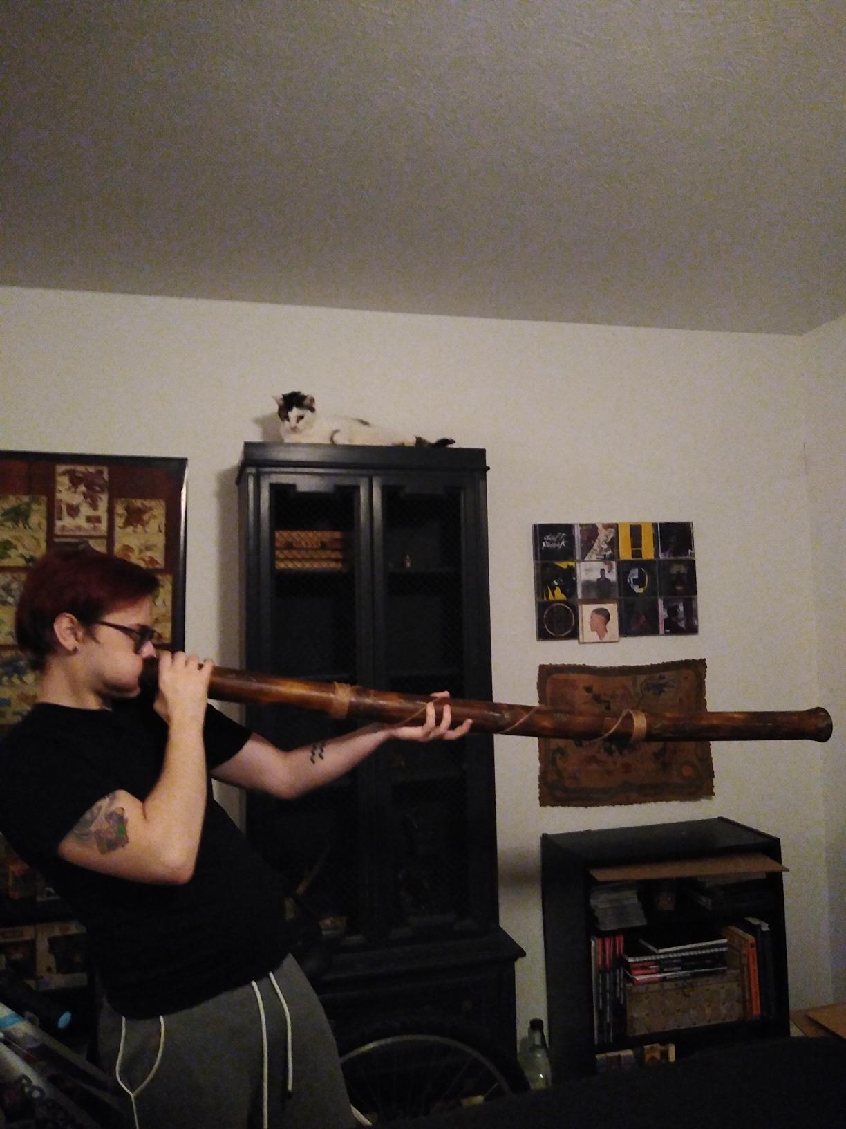 Beginner's Modern Didgeridoo Instrument - Hand-Crafted, Key of C Ohm, Durable and Lightweight, with Beeswax Mouthpiece and Playing Instructions customer photo 2