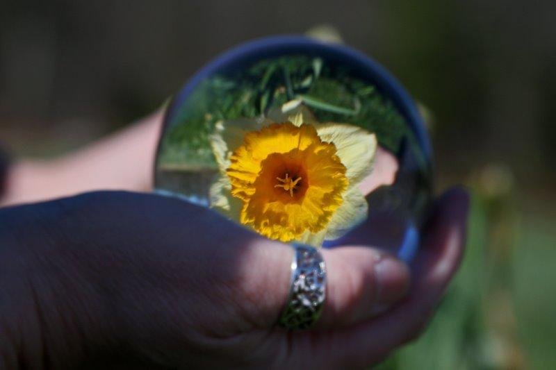 Amlong Crystal Meditation K9 Crystal Ball 3.25 inch (80mm) Diameter for Photography, Lensball, Decorative Ball with Free Crystal Stand and Gift Box, Clear customer photo 2