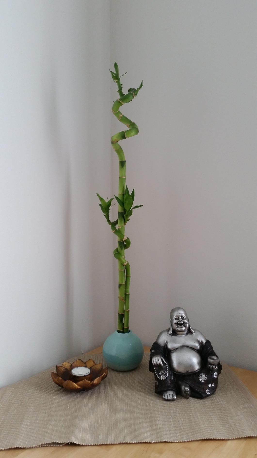 Koehler Home Decor Happy Sitting Buddha Statue customer photo 2