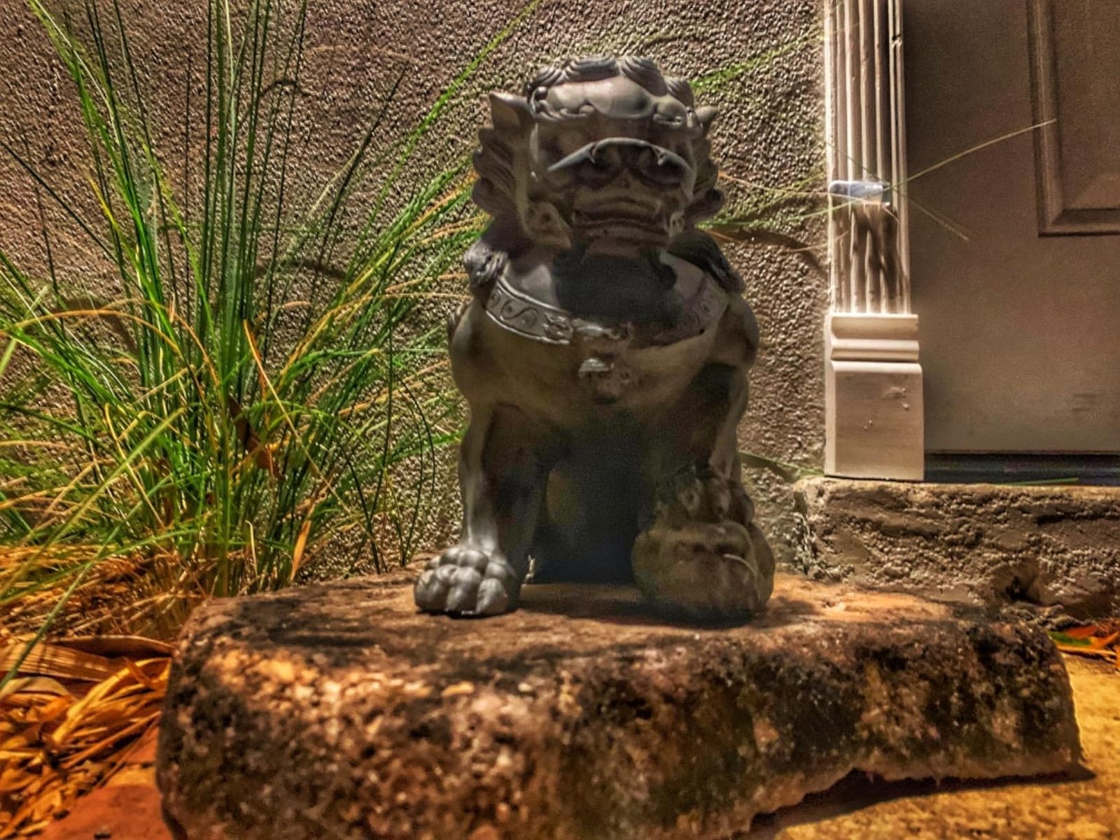 Red Lantern 9
