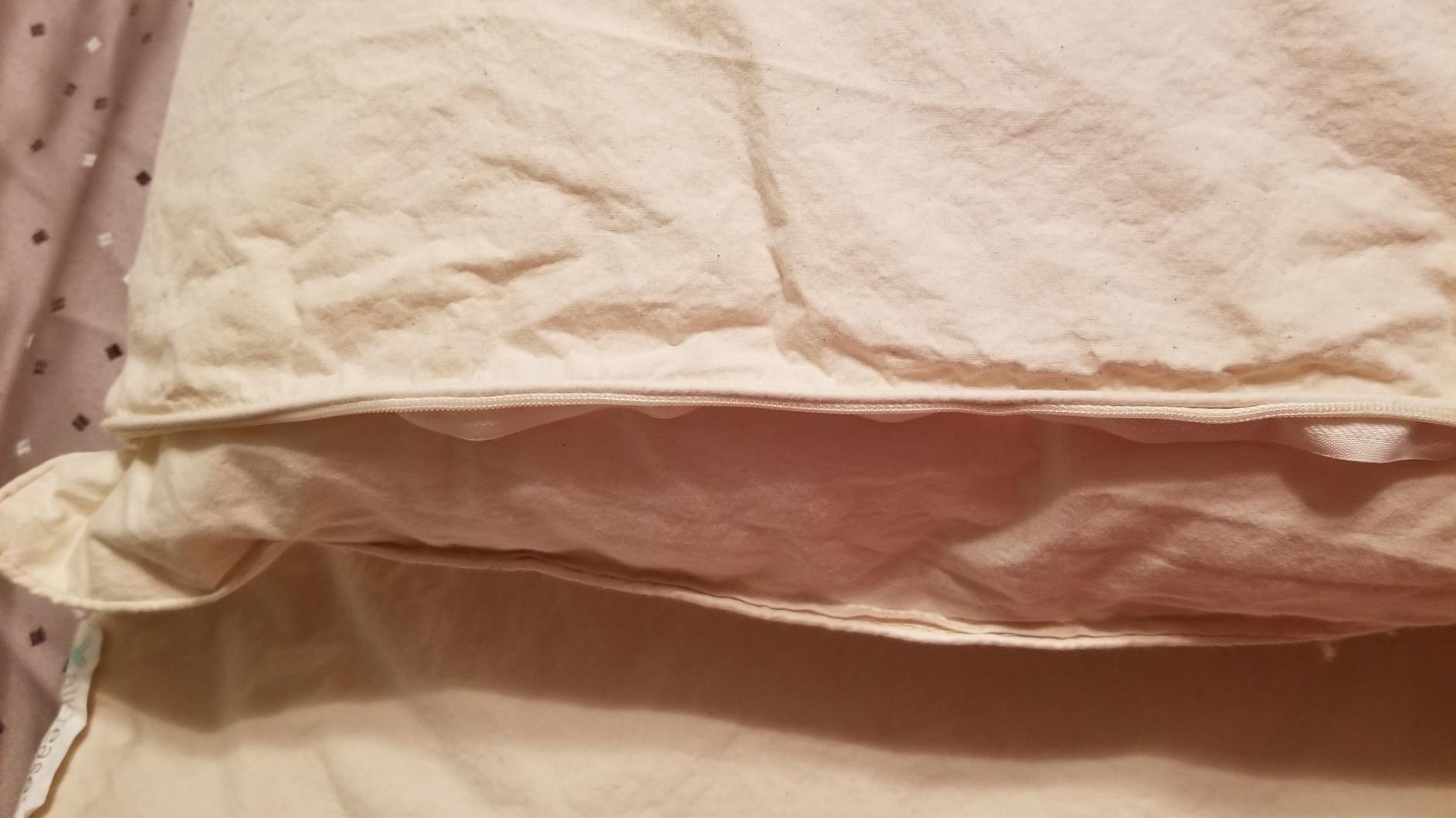 Aller-Ease Organic Cotton Allergy Protection Pillow customer photo 2
