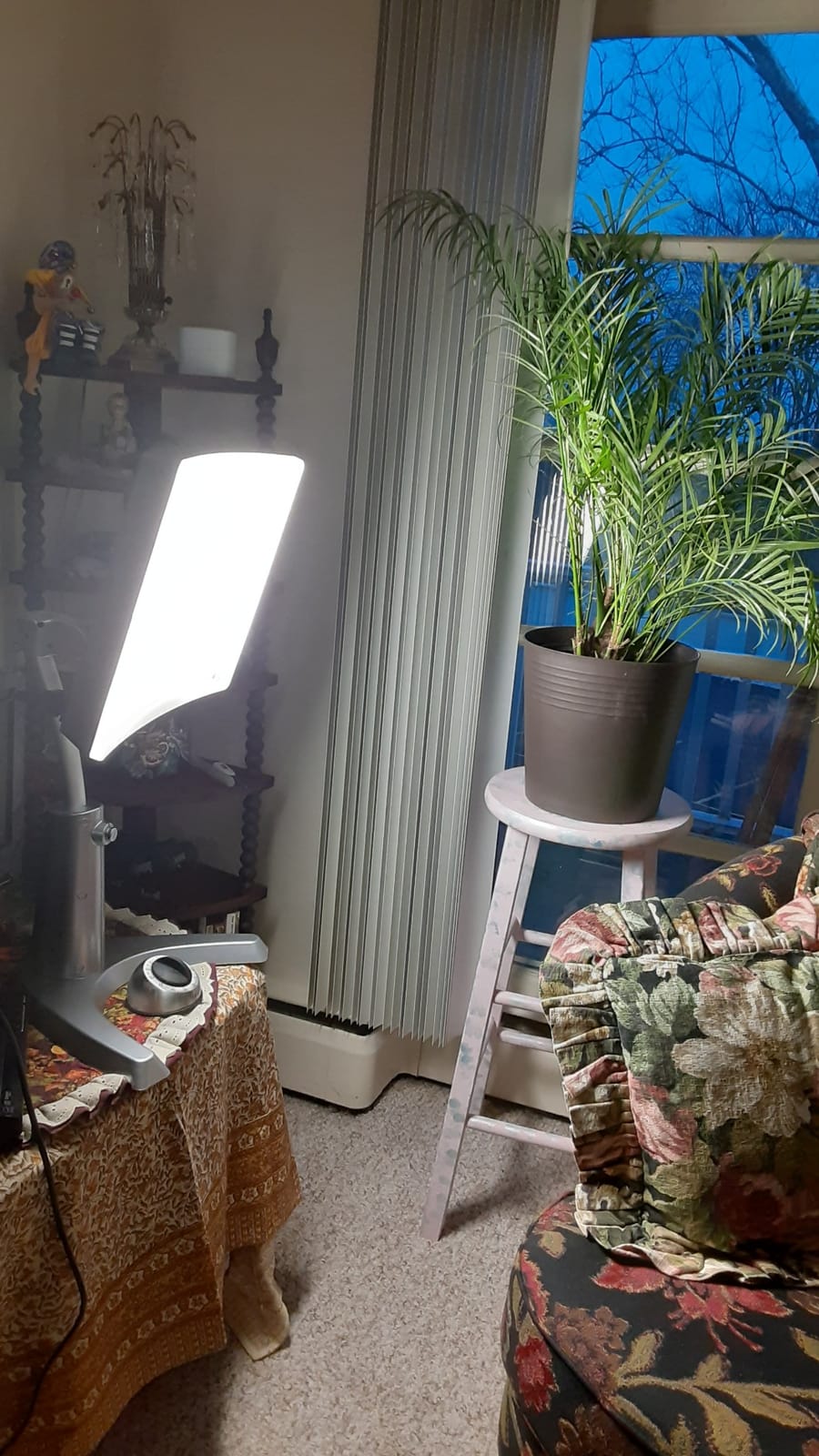 Carex Day-Light Classic Plus Sunlight Therapy Lamp - 10000 LUX Therapy Lamp at 12 Inches, LED Bright White Light with Adjustable Height and Brightness Levels for Mood customer photo 2