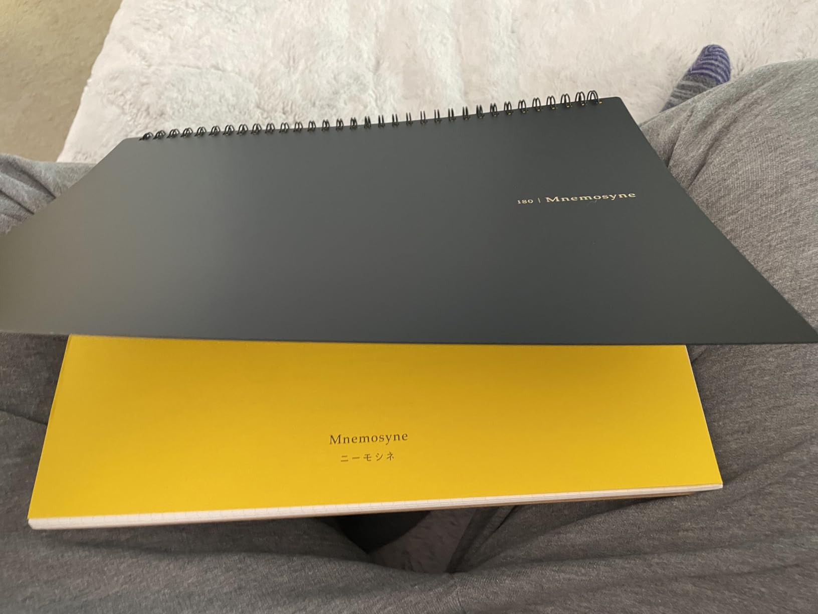 Maruman Mnemosyne Spiral Notebook, Horizontal A4, 8.27