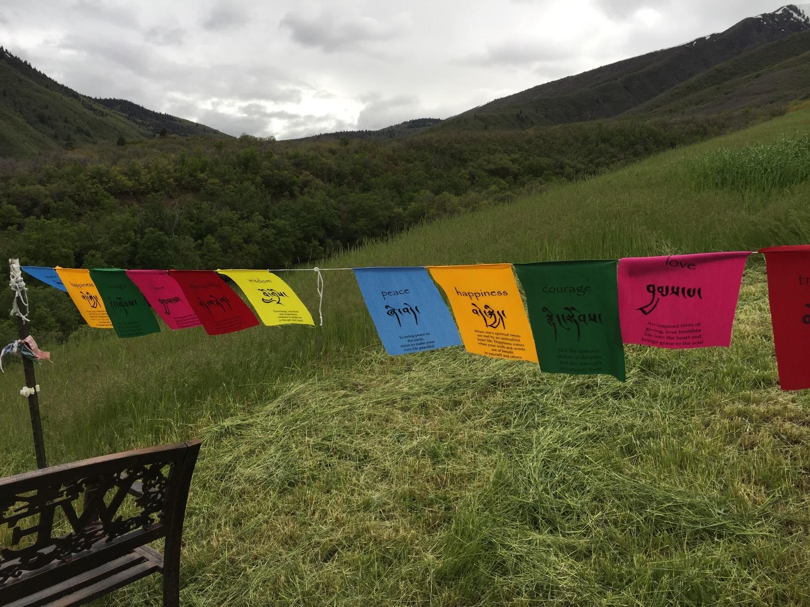 Tibetan Affirmation Prayer Flags Happiness Courage Love Tranquility Wisdom customer photo 1