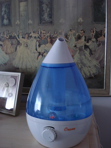 Crane Ultrasonic Cool Mist Humidifier for Bedroom, Baby Nursery, Kids Room, Plants, or Office, Large 1 Gallon Tank, Filter Optional, Clear and White customer photo 2
