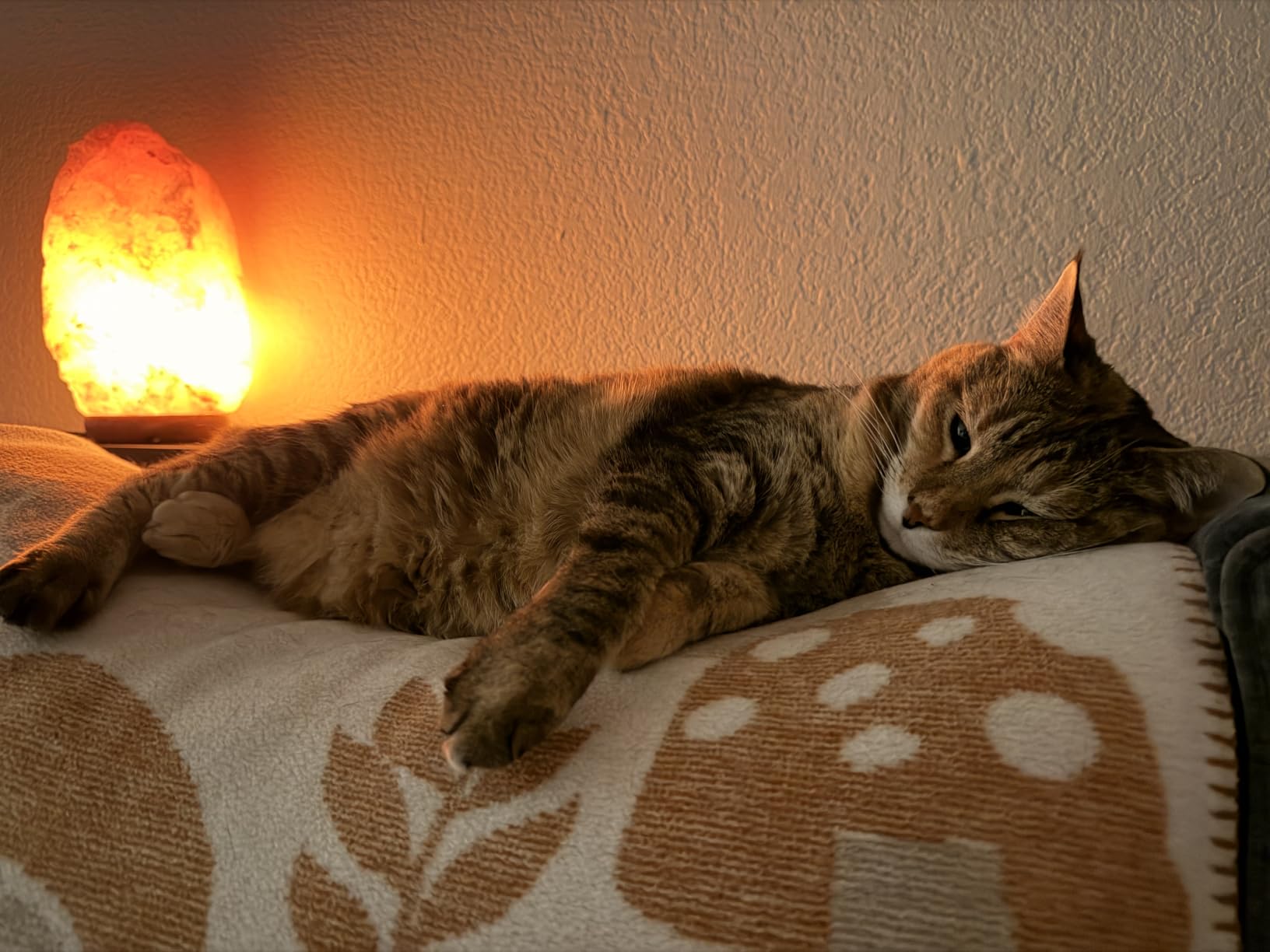 Himalayan Salt Lamp for Bedroom Large 10-12 Inch Pink Salt Rock Lamp with Dimmer, Wooden Base & Spare Bulbs | Calming Ambient Night Light | Thoughtful Wellness Gift for Women, Home, or Office customer photo 1