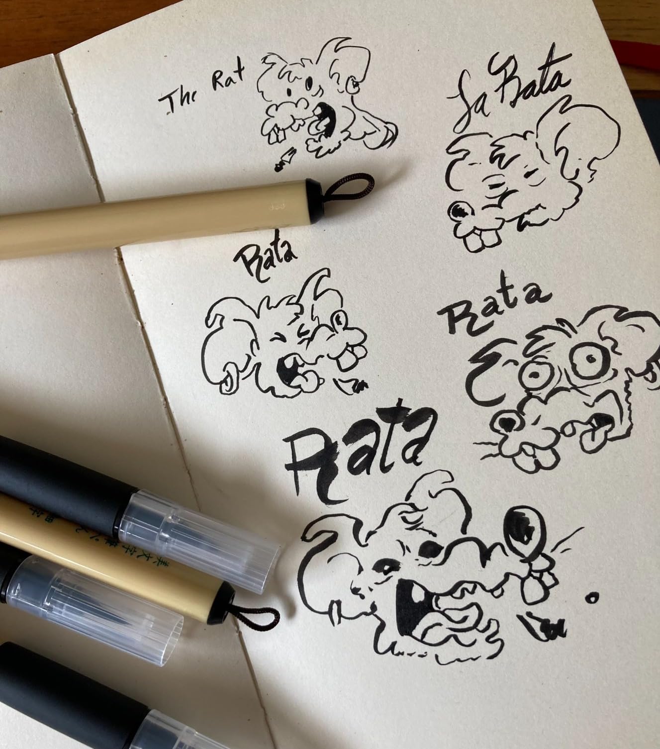 Kuretake Bimoji Brush Pen, 5 pcs set (Extra Fine, Fine, Medium, Large, Medium Brush), great for Calligraphy, Hand lettering and Illustration, for Beginners and Professional, Made in Japan customer photo 1