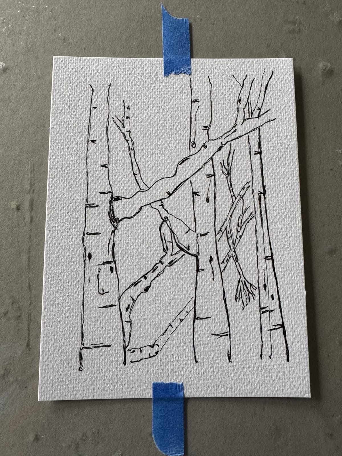 Pilot Kakuno Fine-Nib Fountain Pen, Non Color Body (Fka-1Sr-NCF) customer photo 1