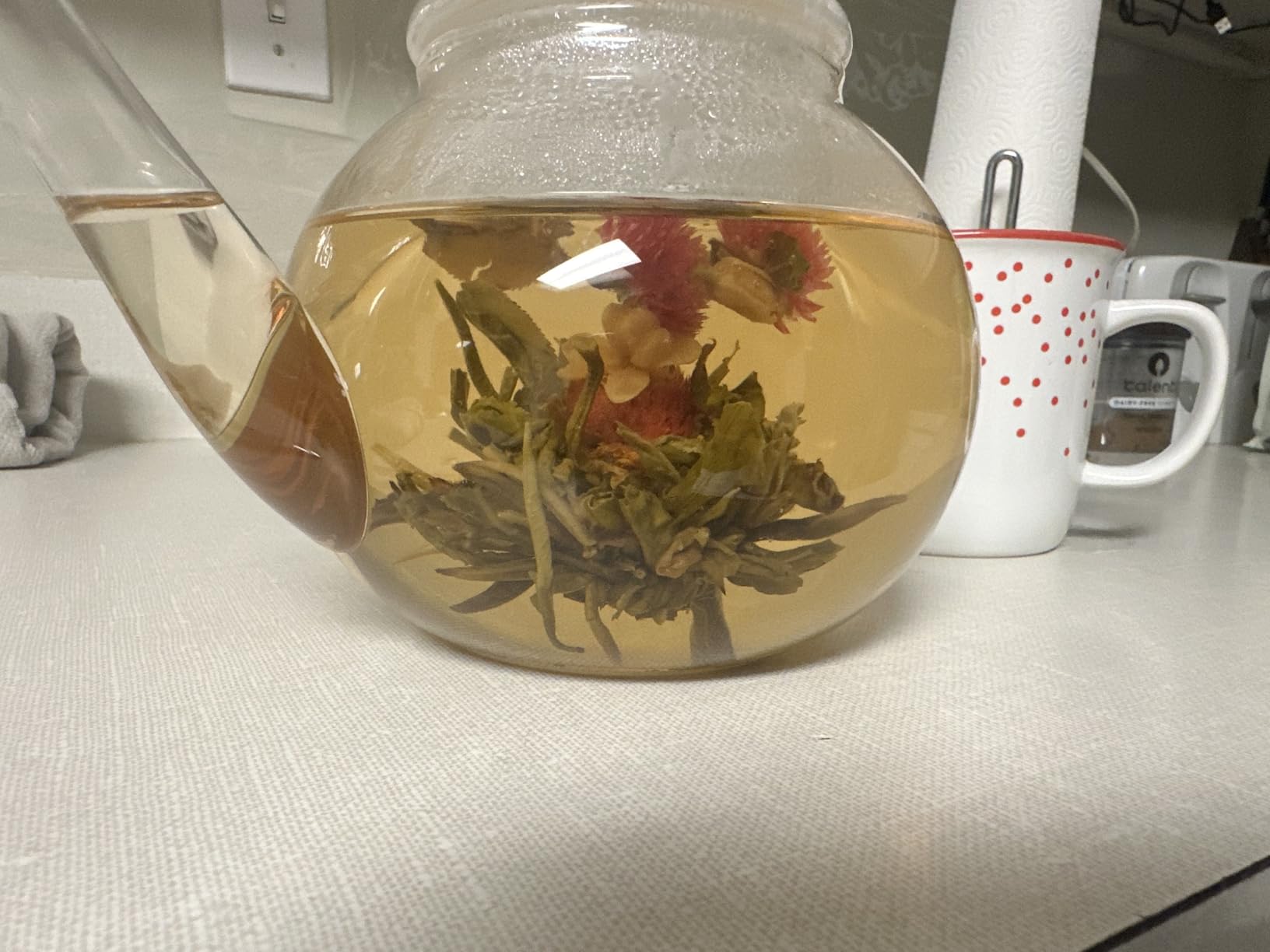 Teabloom Stovetop & Microwave Safe Glass Teapot with Removable Loose Tea Glass Infuser - Includes 2 Blooming Teas - 2-in-1 Tea Kettle and Tea Maker - Tea Purist's Choice customer photo 1