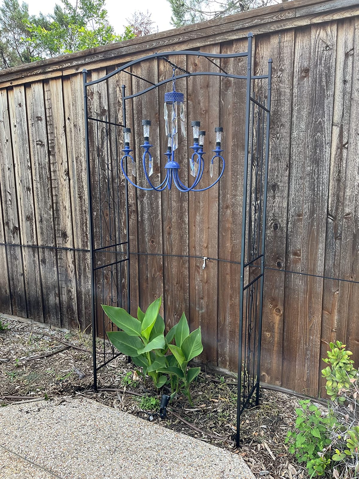Best Choice Products 92in Steel Garden Arch Arbor Trellis for Outdoor, Yard, Garden, Climbing Plants w/Decorative Wire Lattice - Black customer photo 2