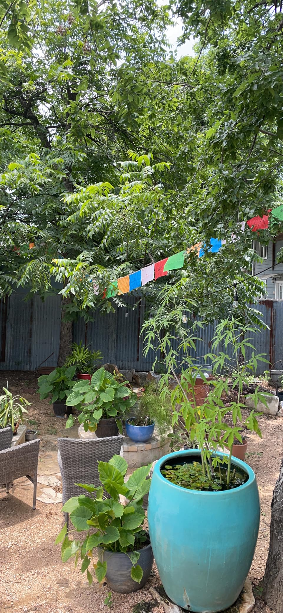 Tibetan Prayer Flags - Pack of 100 (10In x 11In) Indoor Outdoor Buddhist Meditation Flag Satin Affirmation Windhorse Prayer Flags customer photo 2