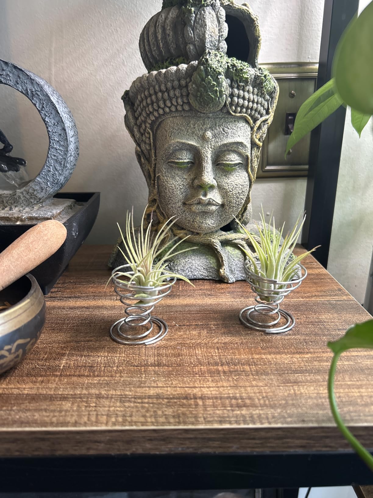 Shappy 6 Pieces Air Plant Holder Air Plant Live Holders Outdoor Stainless Steel Tillandsia Base Container Display Rack for Tropical Home Desktop Office Decoration Supplies, Silver customer photo 1