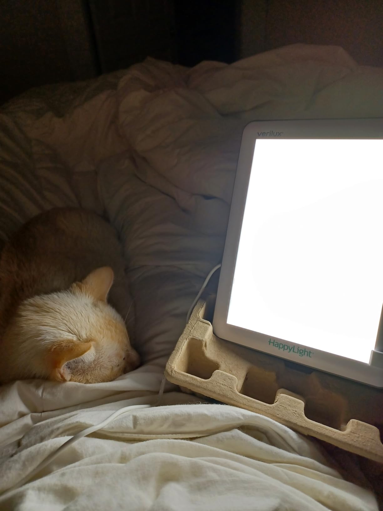 Verilux HappyLight Lucent - One-Touch Light Therapy Lamp with 10,000 Lux, UV-Free, LED Bright White Light & Detachable Stand customer photo 1
