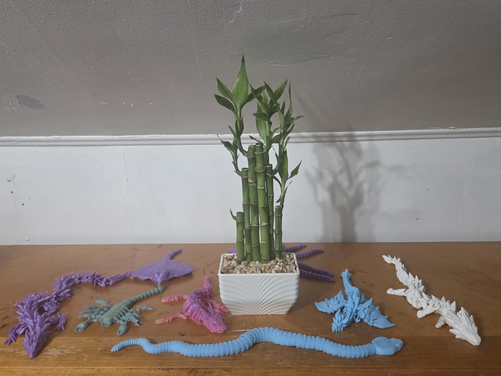 Costa Farms Lucky Bamboo, Live Indoor Plant, Easy Care, Home Decor | Good-luck stalks that grow in water or soil. Great indoor houseplant. Ideal housewarming or birthday gift. customer photo 2