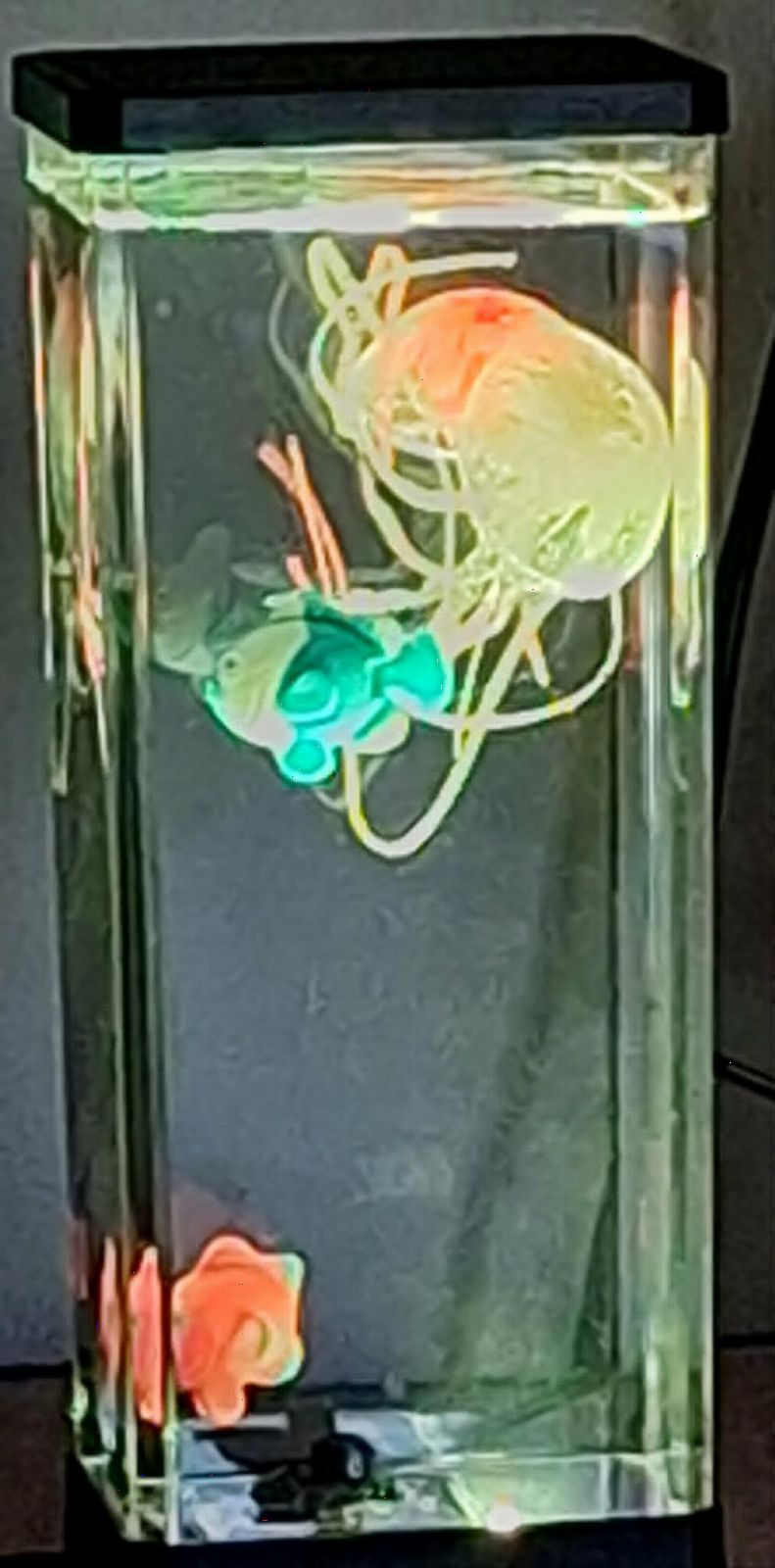 CALOVER Gifts for Kids Men Women Friends Family Cool Jellyfish Lamp Night Light for Girls Boys Kids Home Office Bedroom Decor for Christmas Holiday Birthday Party customer photo 1