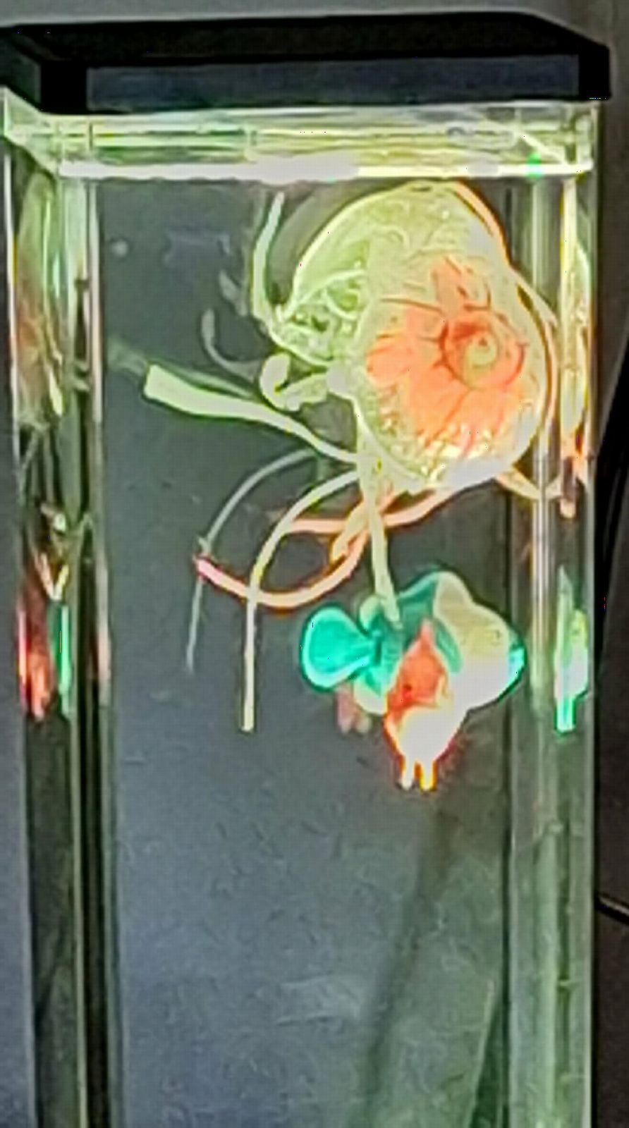 CALOVER Gifts for Kids Men Women Friends Family Cool Jellyfish Lamp Night Light for Girls Boys Kids Home Office Bedroom Decor for Christmas Holiday Birthday Party customer photo 2