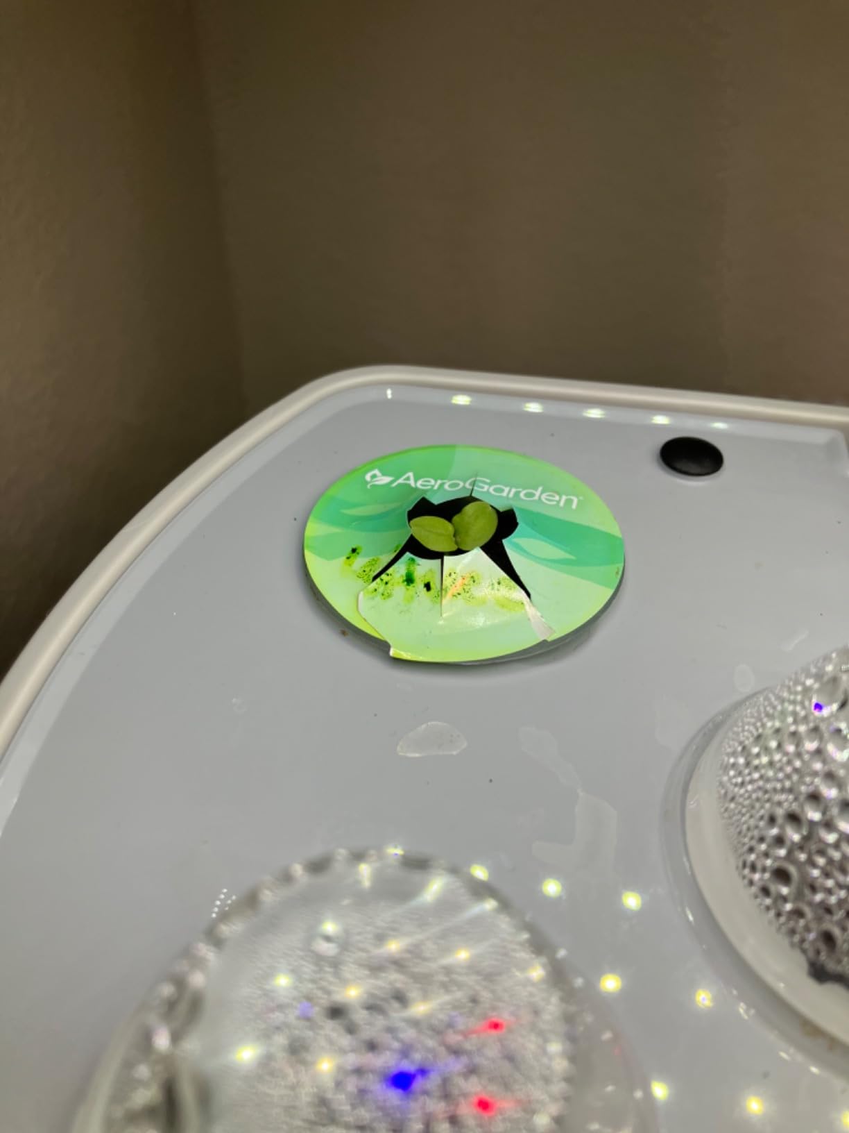 AeroGarden Harvest Elite, Stainless Steel | Indoor Garden with LED Grow Light customer photo 1