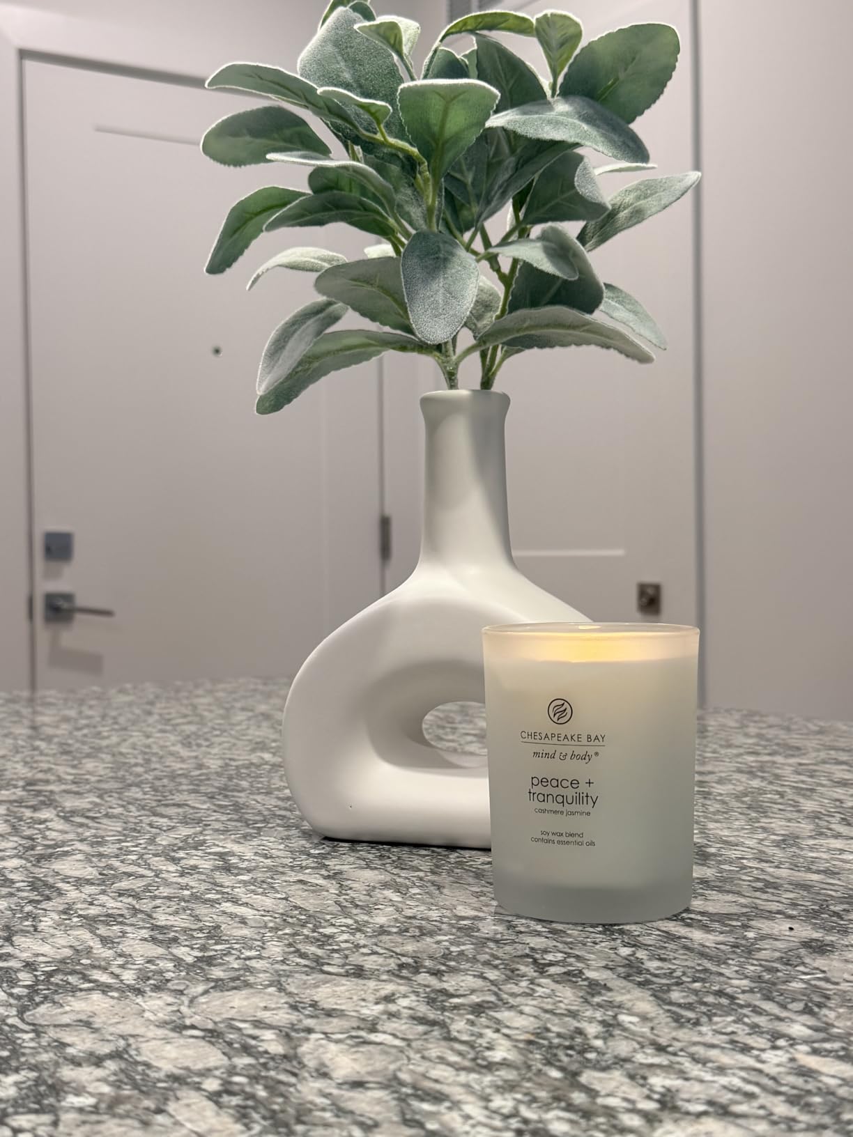 Chesapeake Bay Candle Peace + Tranquility (Cashmere Jasmine) Scented Candles Medium Size 2-Pack Perfect for Home Decor Relaxation and Gifting customer photo 1