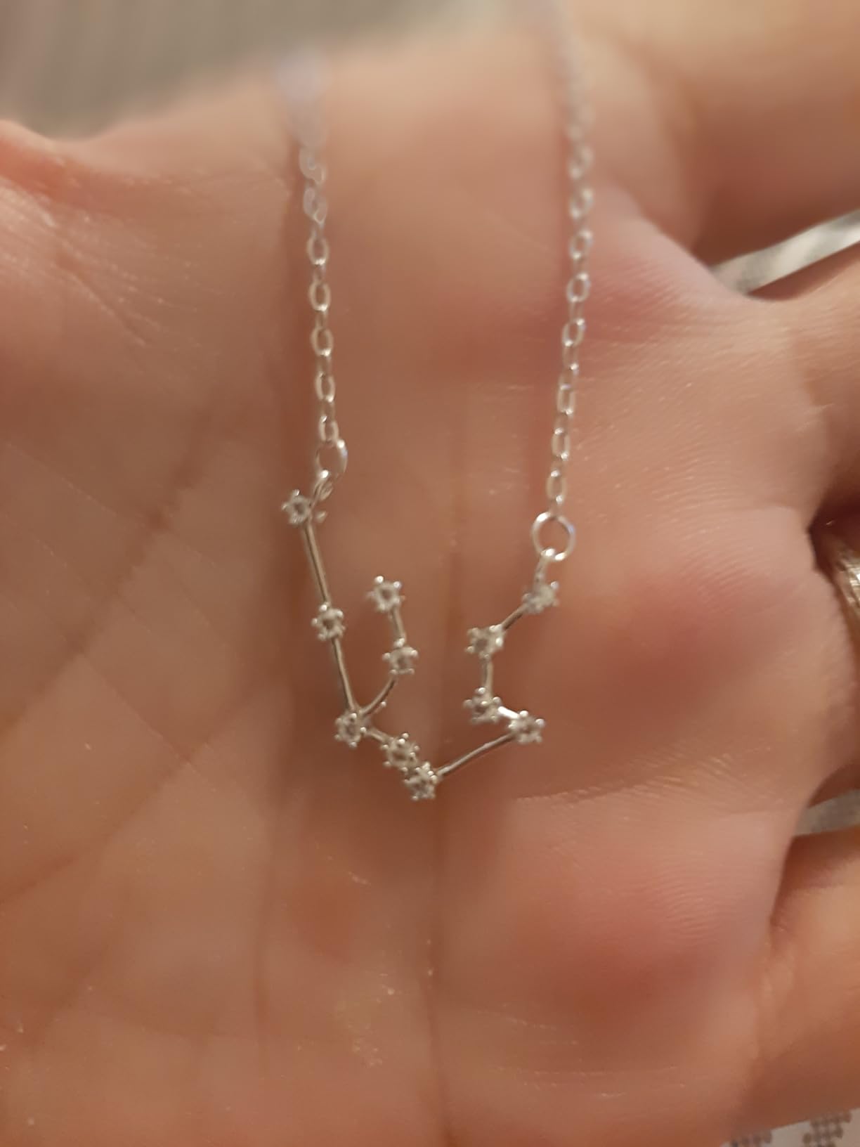 BriLove 925 Sterling Silver Necklace Gifts for Mom Women Constellation Zodiac 12 Horoscope Astrology CZ Pendant Mothers Day/Valentines Day/Birthday/Christmas/Anniversary customer photo 2