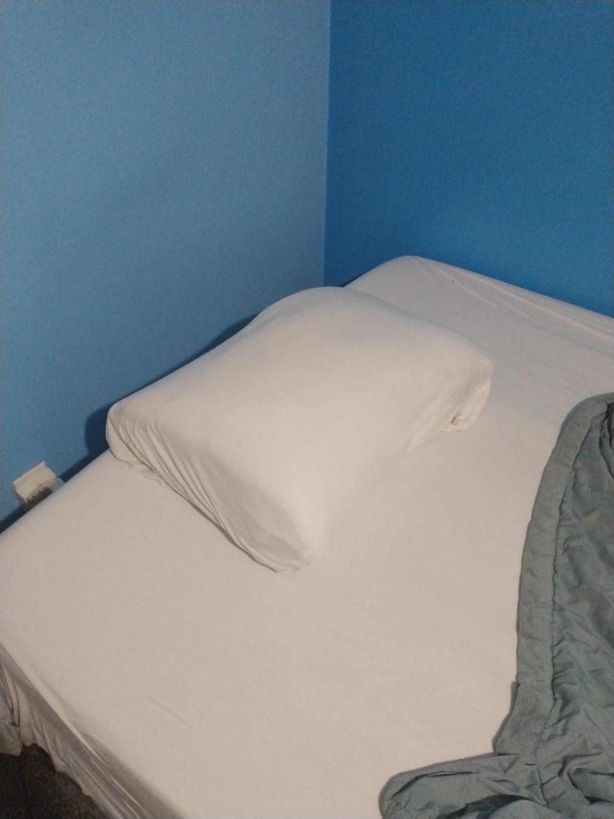 Casper Sleep Original Pillow – Standard Down-Alternative Bed Pillow customer photo 1