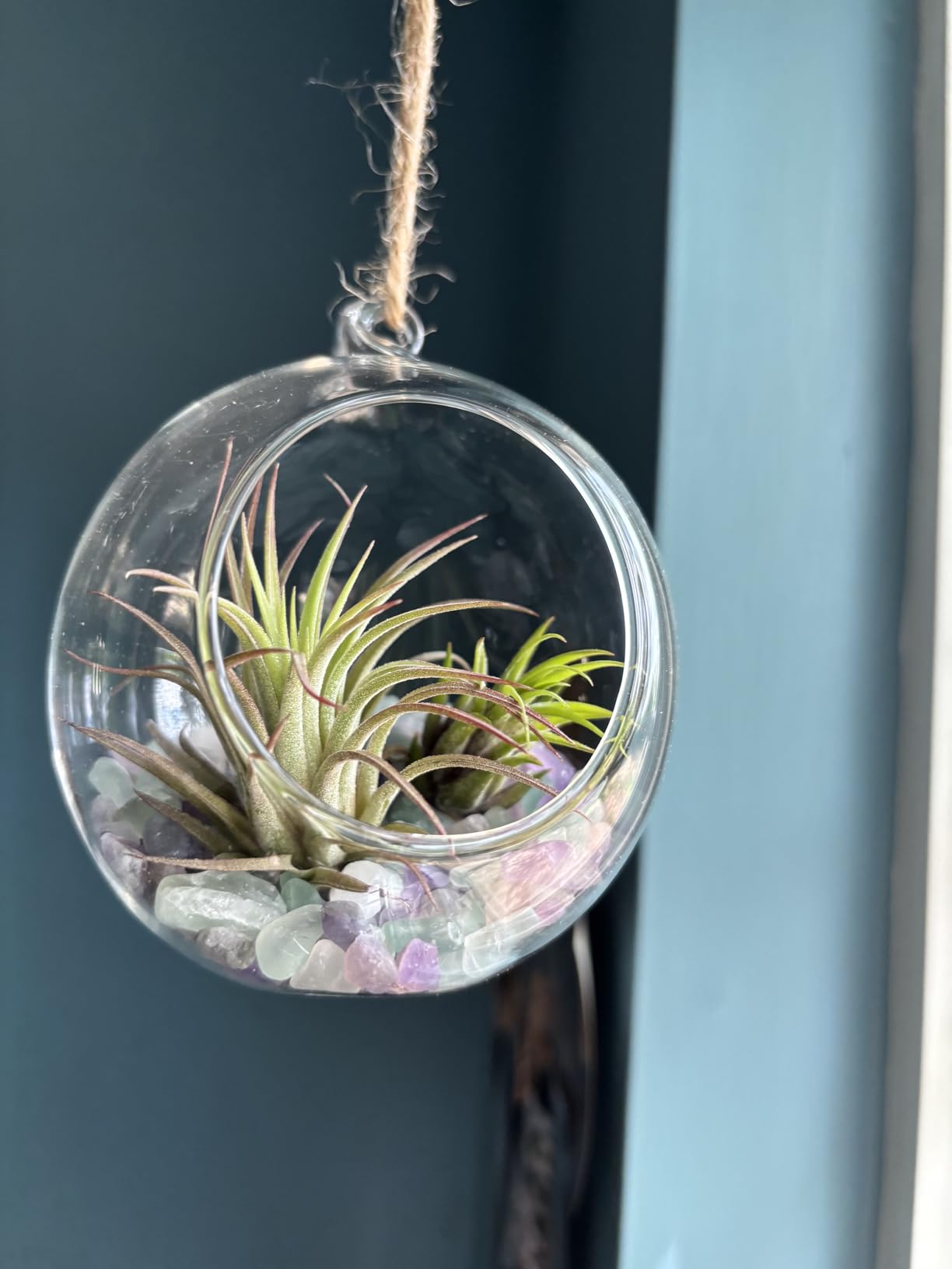 Mkono 3 Pack Air Plant Holder, Glass Hanging Planter Terrarium Globe Hanger | for Indoor Live Fern Succulent, Unique Display Jar, Home Office Christmas Holiday Decor, Plant Lover Gift customer photo 1