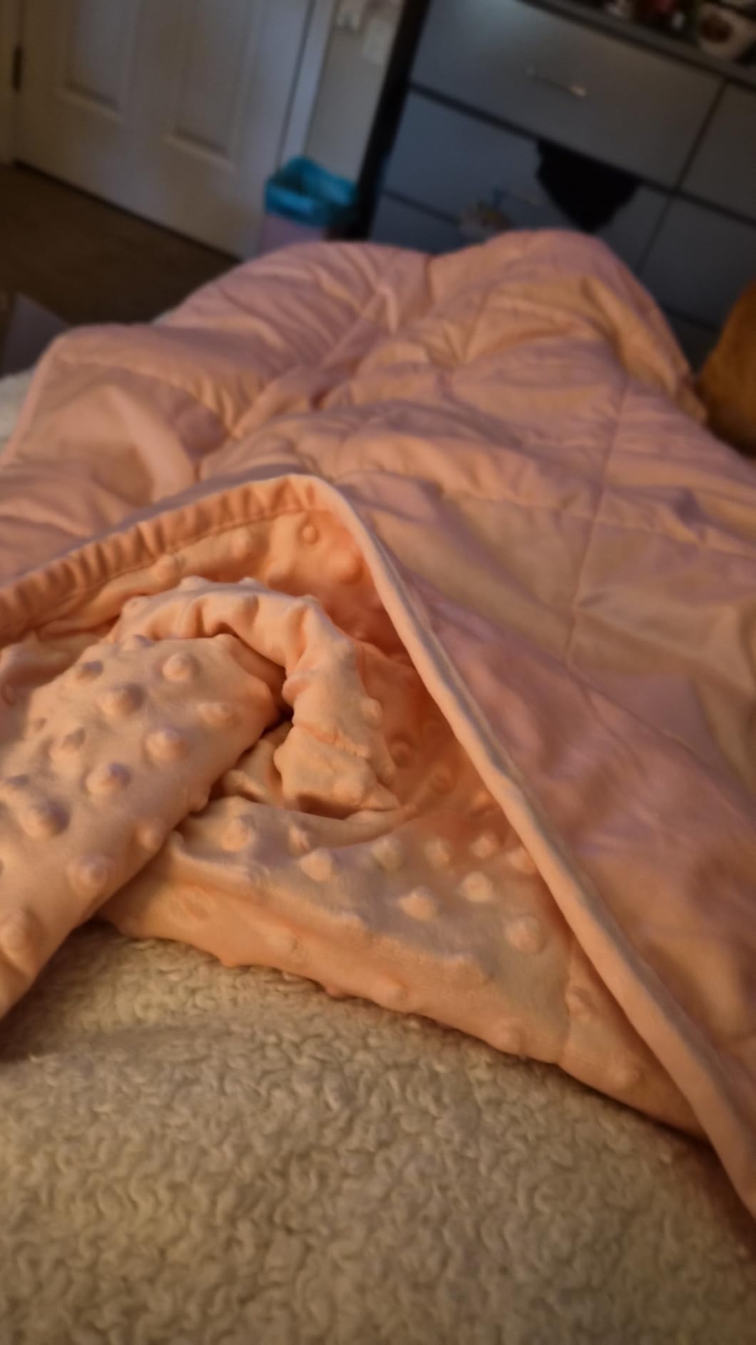 ALANSMA Reversible Weighted Blanket for All Season, Luxury Velvet, 7Lb customer photo 1