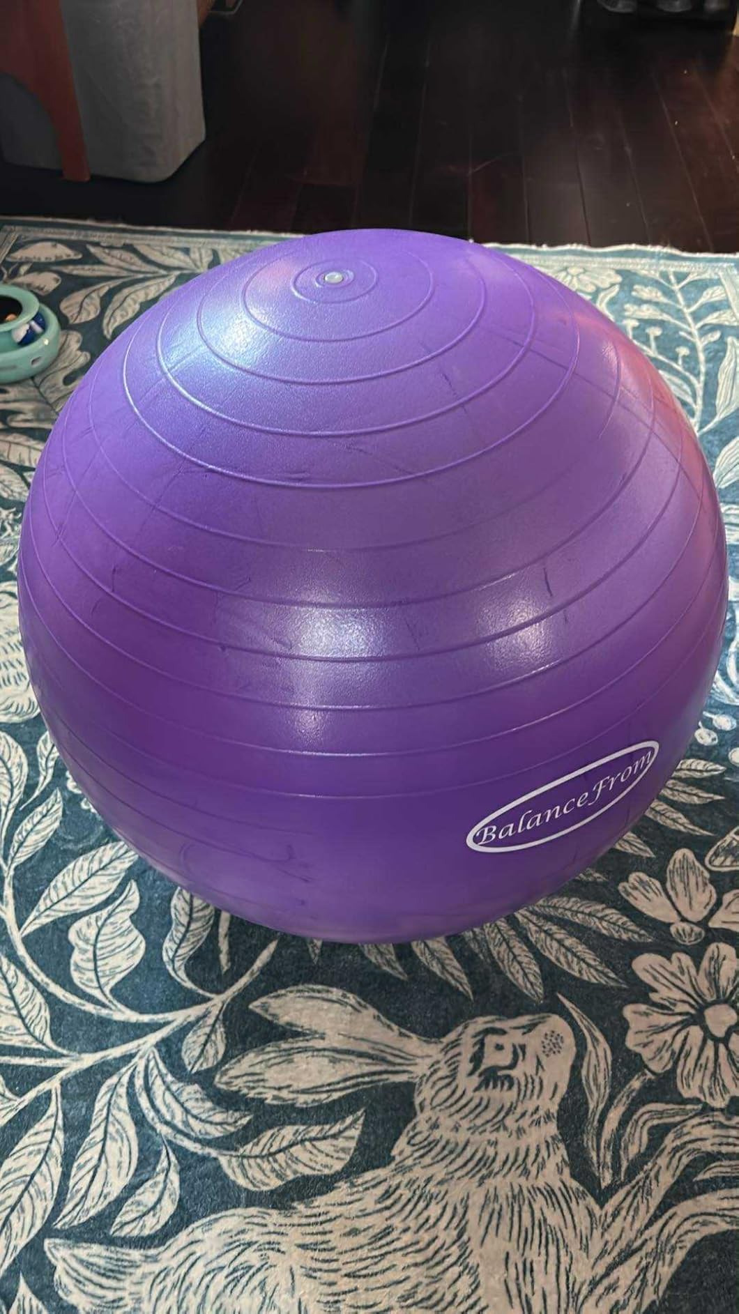 Fitvids Anti-Burst and Slip Resistant Exercise Yoga Fitness Birthing Ball with Quick Pump, 2,000-Pound Capacity, Multiple Colors and Sizes customer photo 1