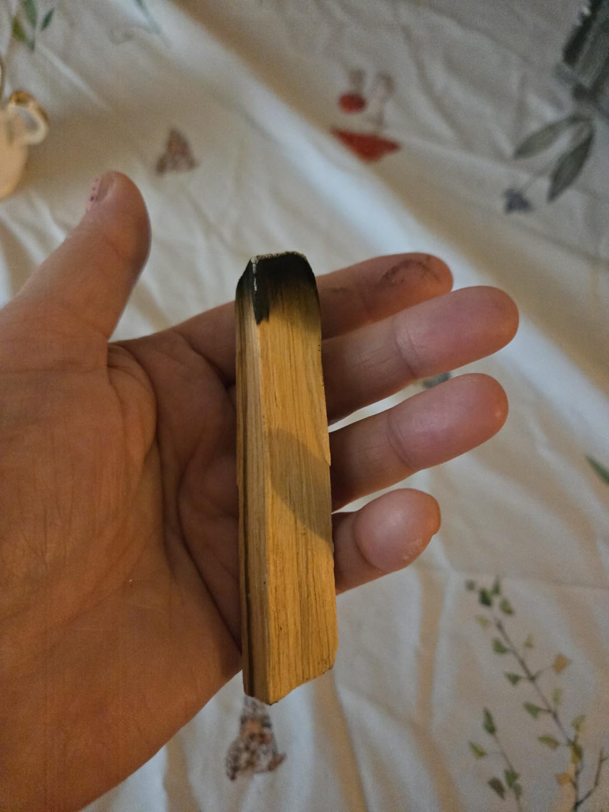 New Age Smudges and Herbs Smudge Kit - 2 California White Sage Smudge Stick for Cleansing (Salvia Apiana) with 2 Palo Santo Incense Sticks (Holy Wood) - Sage Bundles customer photo 1