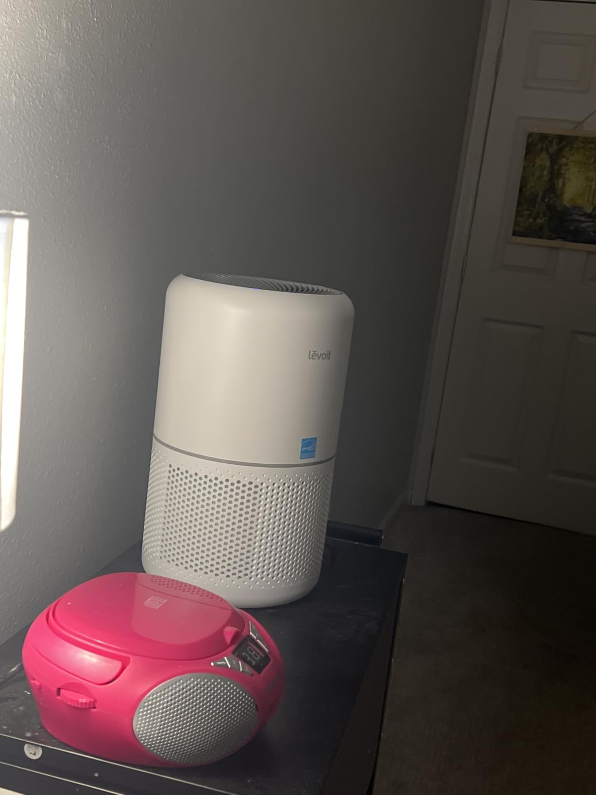 LEVOIT Air Purifier for Home Allergies and Pets Hair in Bedroom, H13 True HEPA Filter, 24db Filtration System, Core 300, White customer photo 2
