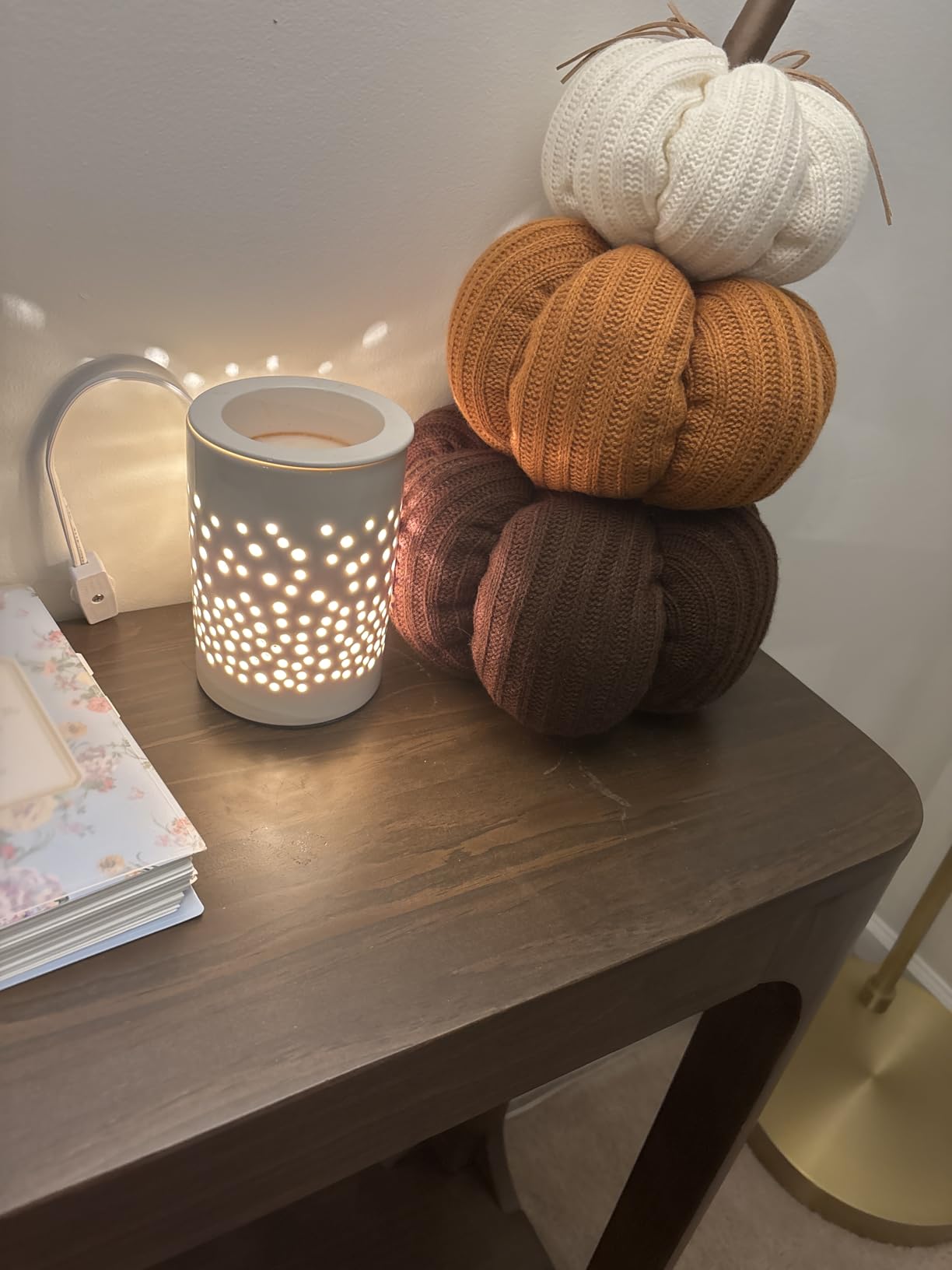 Bobolyn Ceramic Electric Wax Melt Warmer Candle Warmer Lamp Melt Wax Cube Melter Fragrance Warmer - Ideal Gift for Wedding, Spa and Aromatherapy customer photo 1