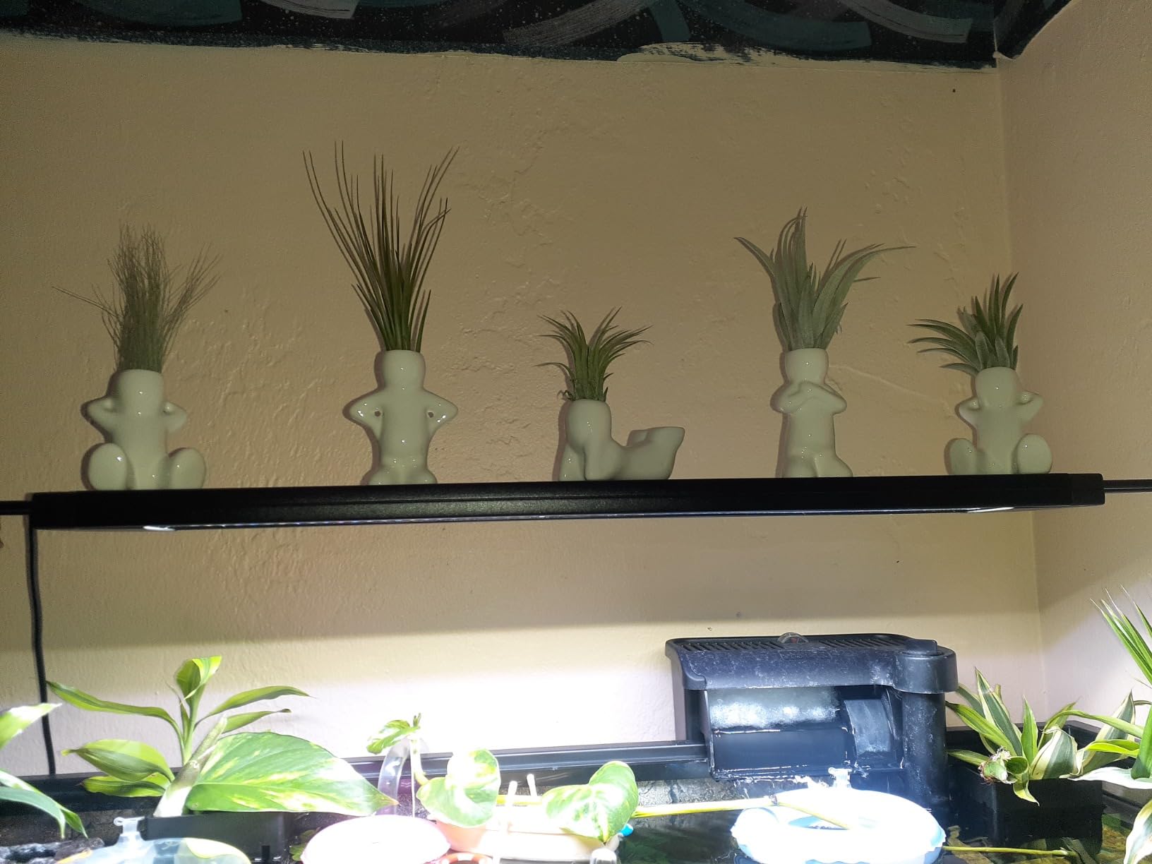 Together-life 4 Pack Ceramic Air Plant Holder, Cute Air Planter Table Top Display Planters for DIY Planting Home Office Decoration Supplies customer photo 2