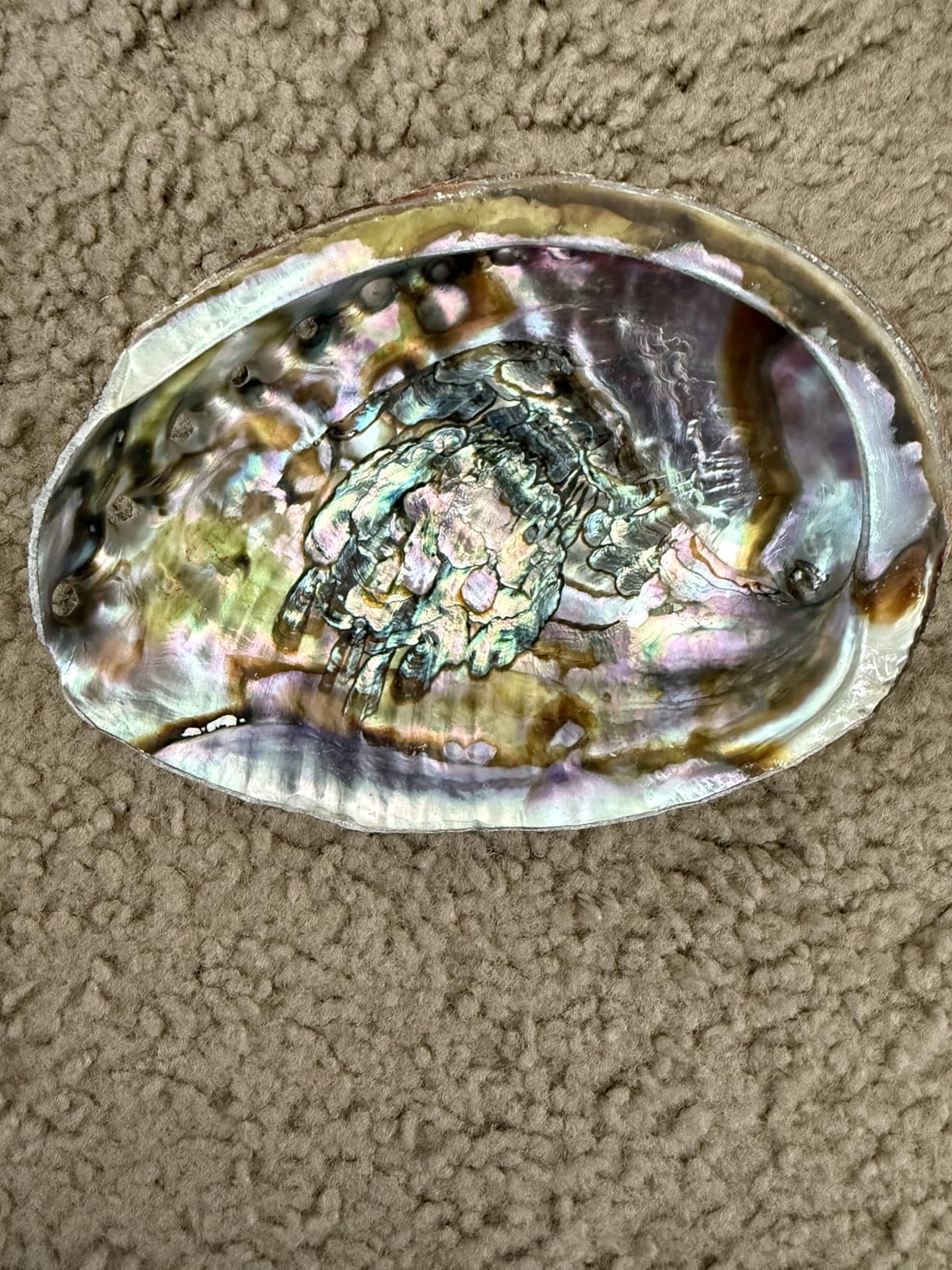Sage Smudge Kit - White Sage Smudge Sticks - 4in ~ Abalone Shell 5-6in ~ 2in Tripod Stand ~ 9-12in Feather and White Sand | All-in-one spiritual cleansing set for meditation, clearing negative energy & rituals; ideal beginner gift for a new home customer photo 1