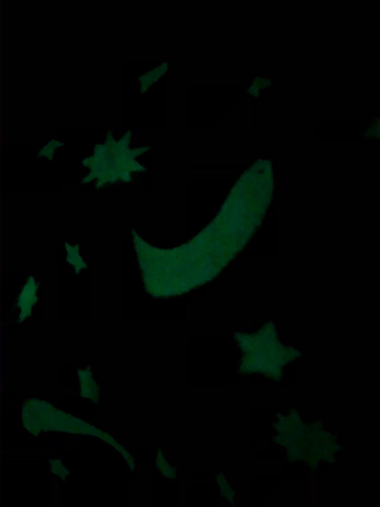 SP HOME GOODS Glow in The Dark Throw Blanket Gift for Girls and Kids Ages 4-14 and for Grandkids - [Grey] 50 x 60 Inches Fun, Cozy Fleece Throw Blanket customer photo 1
