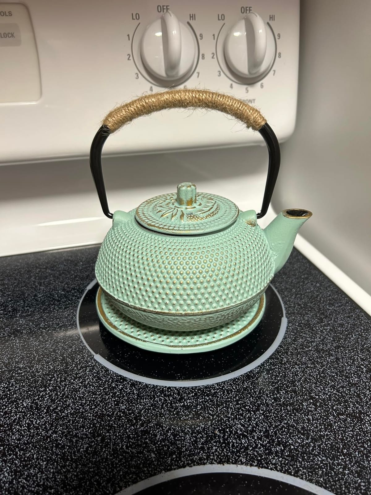 Juvale Cast Iron Tea Kettle with Infuser - Green, 18 oz/500 ml, 3-Piece Set - Teapot for Brewing Loose Leaf Tea - Stovetop Safe Tetsubin Set with Trivet customer photo 1